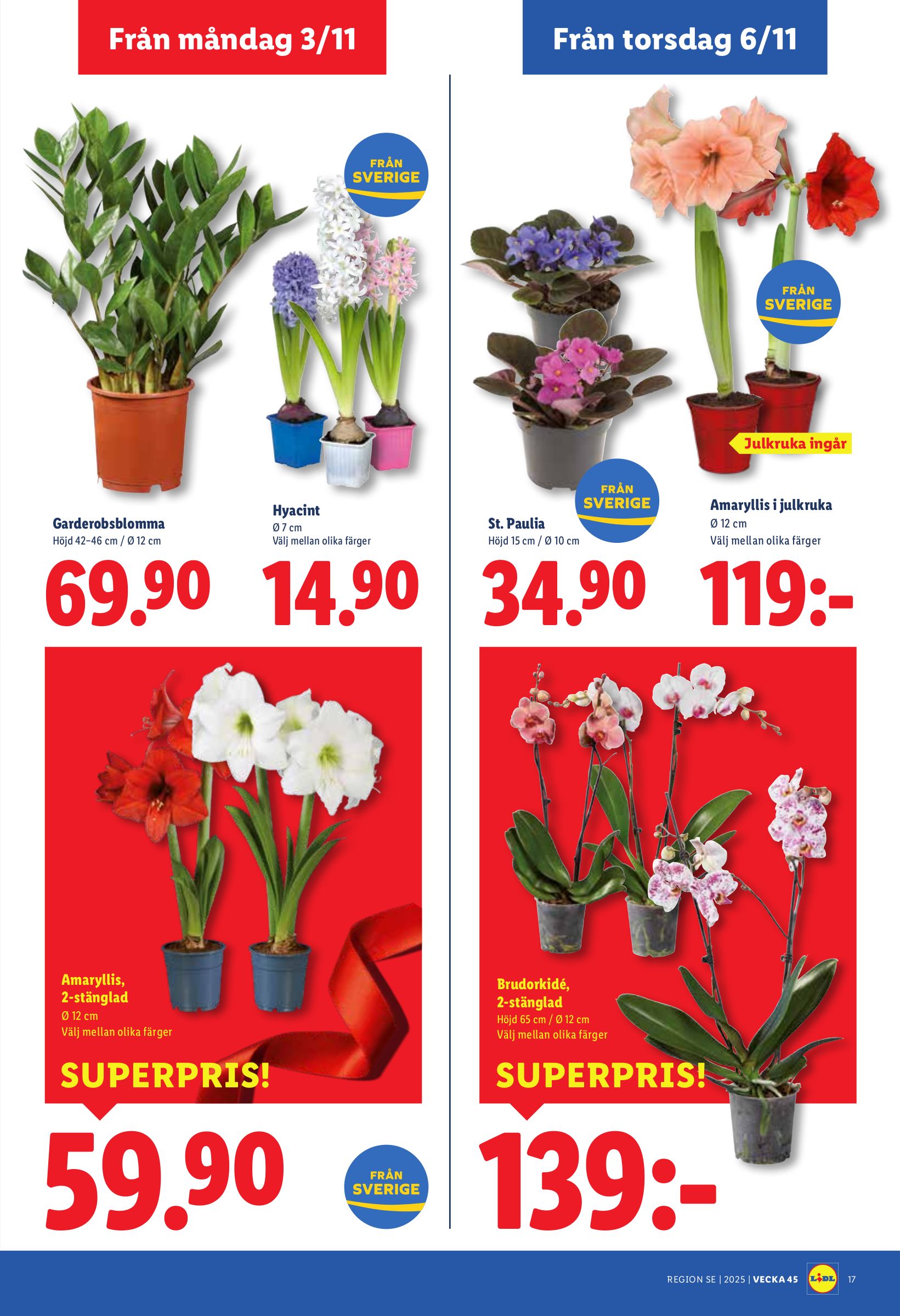 lidl - Lidl-reklambladet giltigt från 03/11 - 09/11 - page: 21
