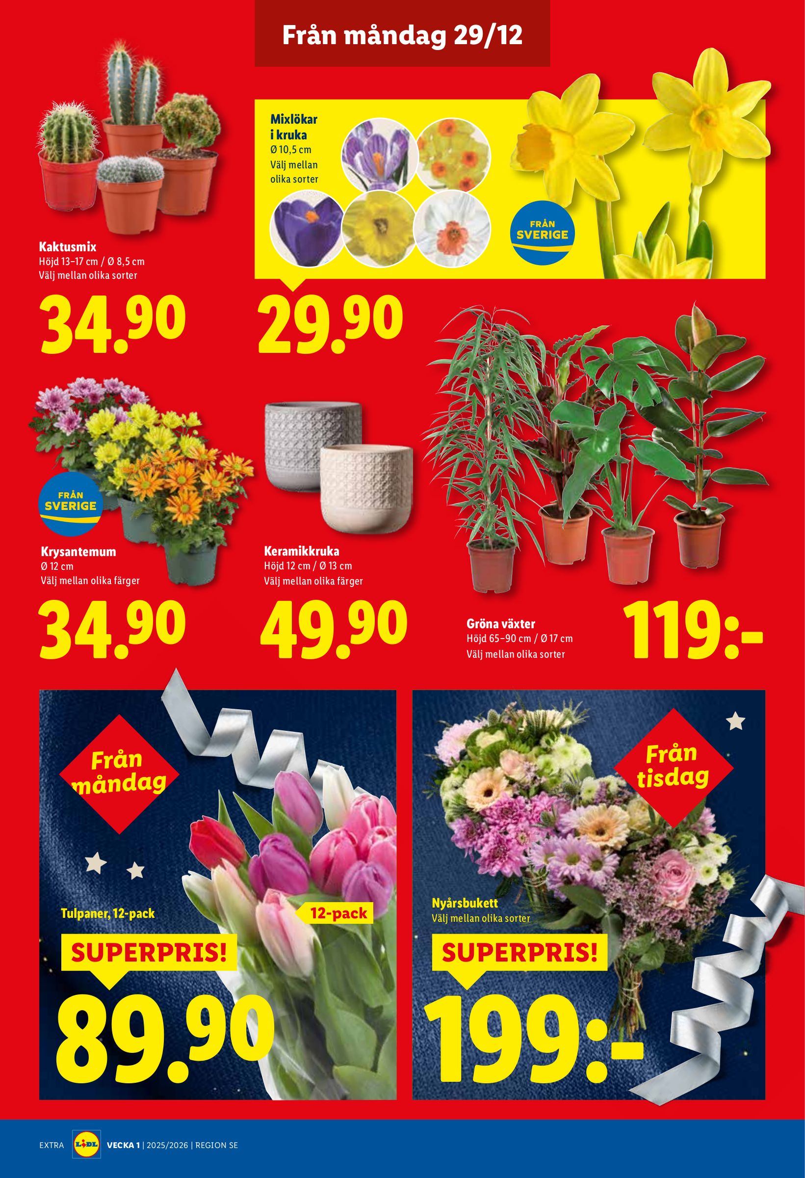 lidl - Lidl-reklambladet giltigt från 29/12 - 04/01 - page: 19