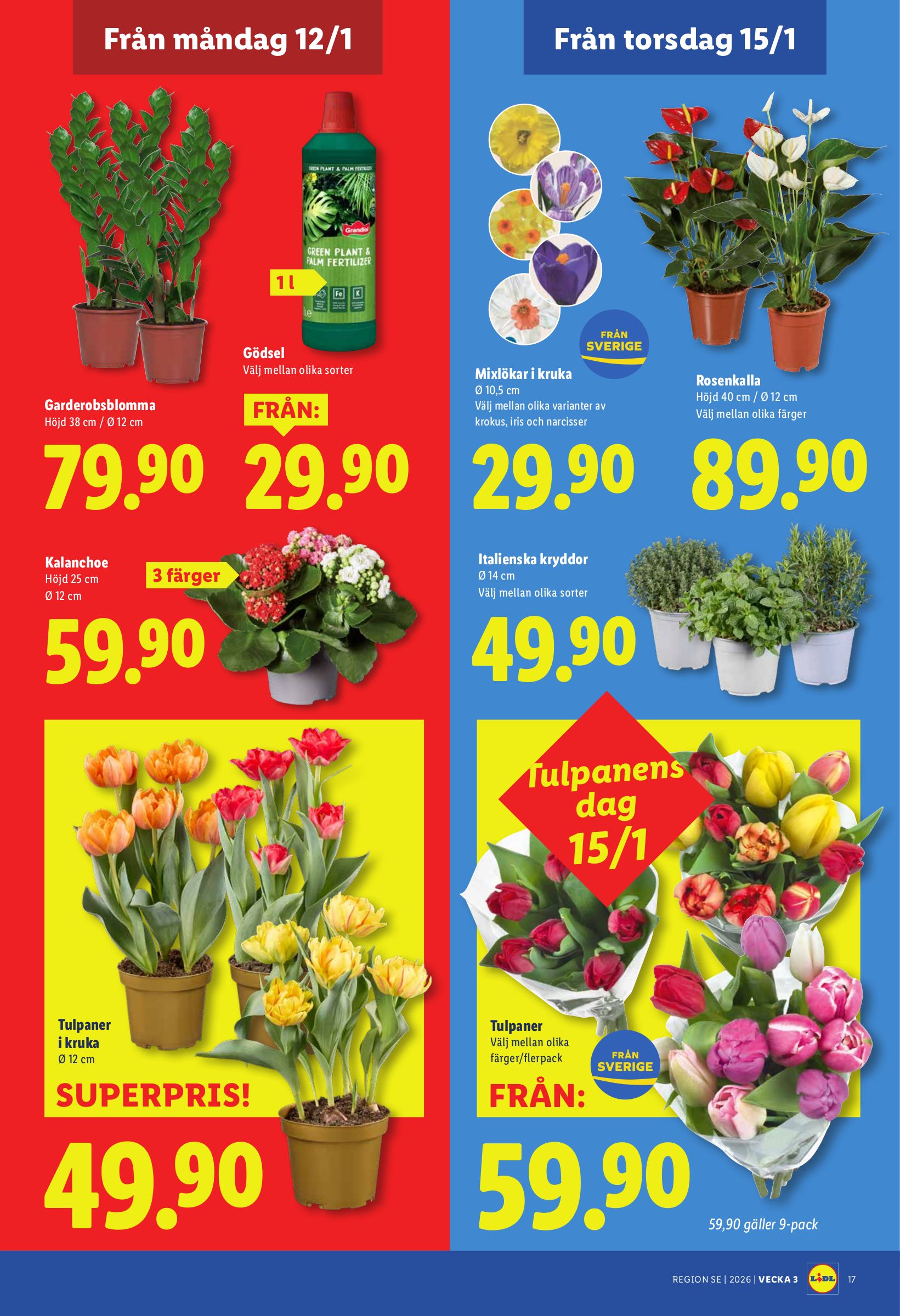 lidl - Lidl-reklambladet giltigt från 12/01 - 18/01 - page: 19