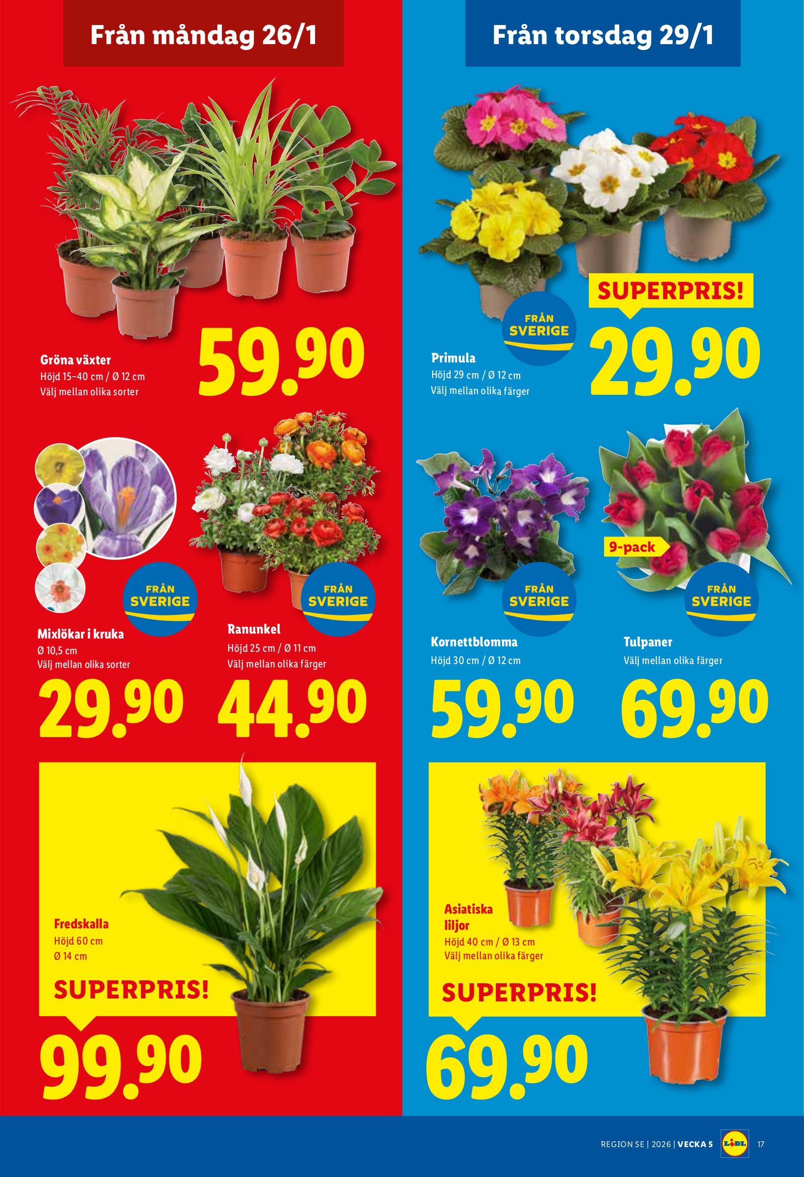 lidl - Lidl-reklambladet giltigt från 26/01 - 01/02 - page: 20