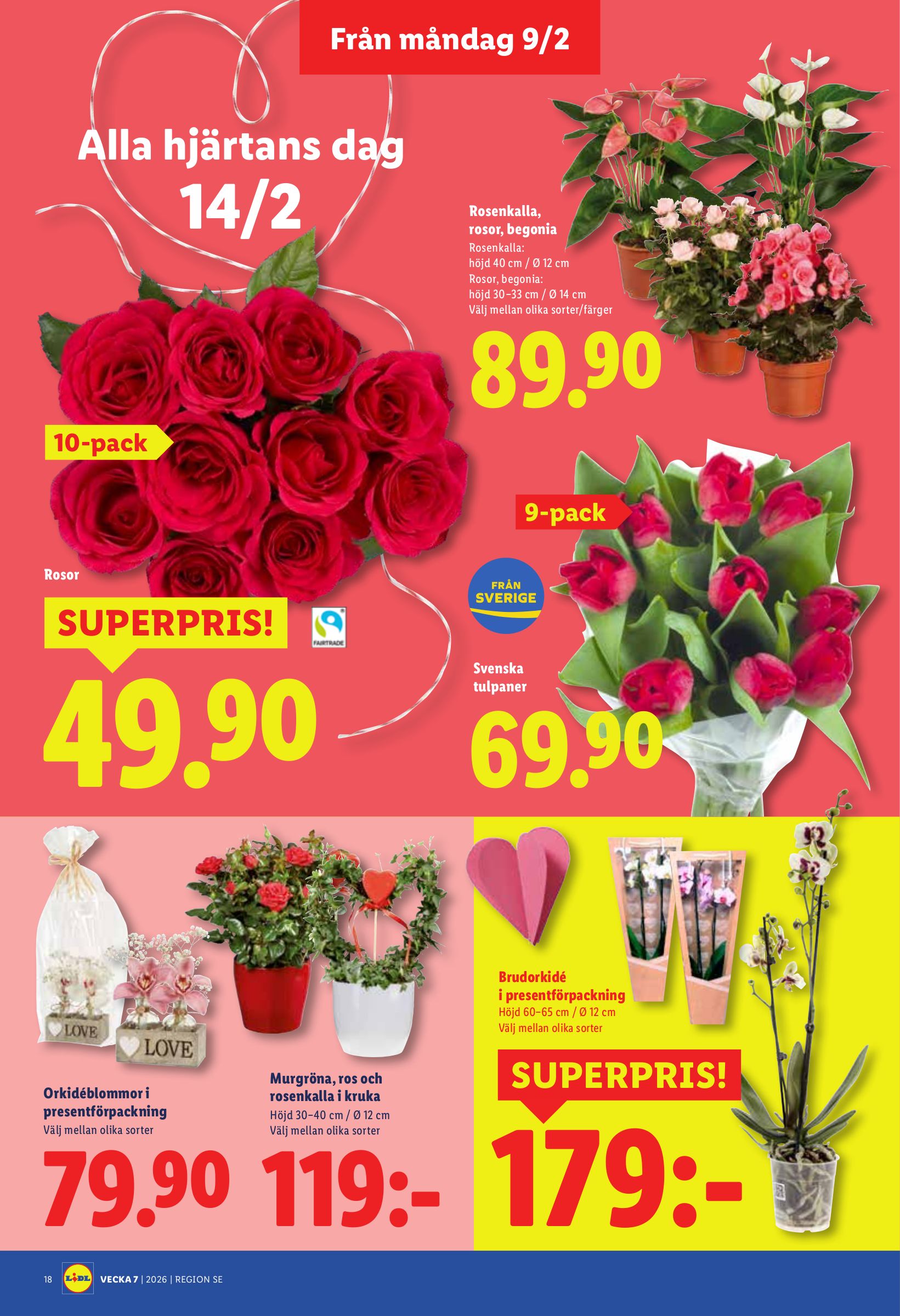 lidl - Lidl-reklambladet giltigt från 09/02/2026 - 15/02/2026 - page: 22
