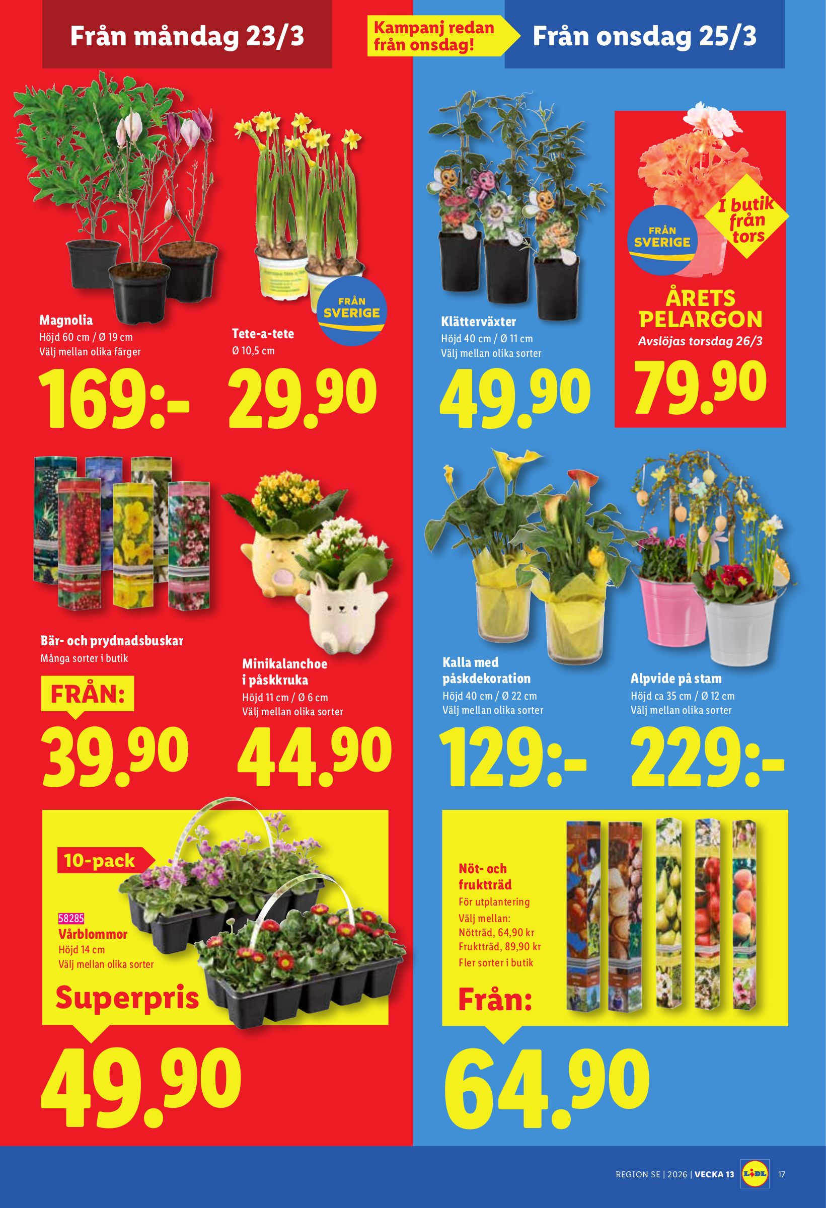 lidl - Lidl-reklambladet giltigt från 23/03/2026 - 29/03/2026 - page: 19