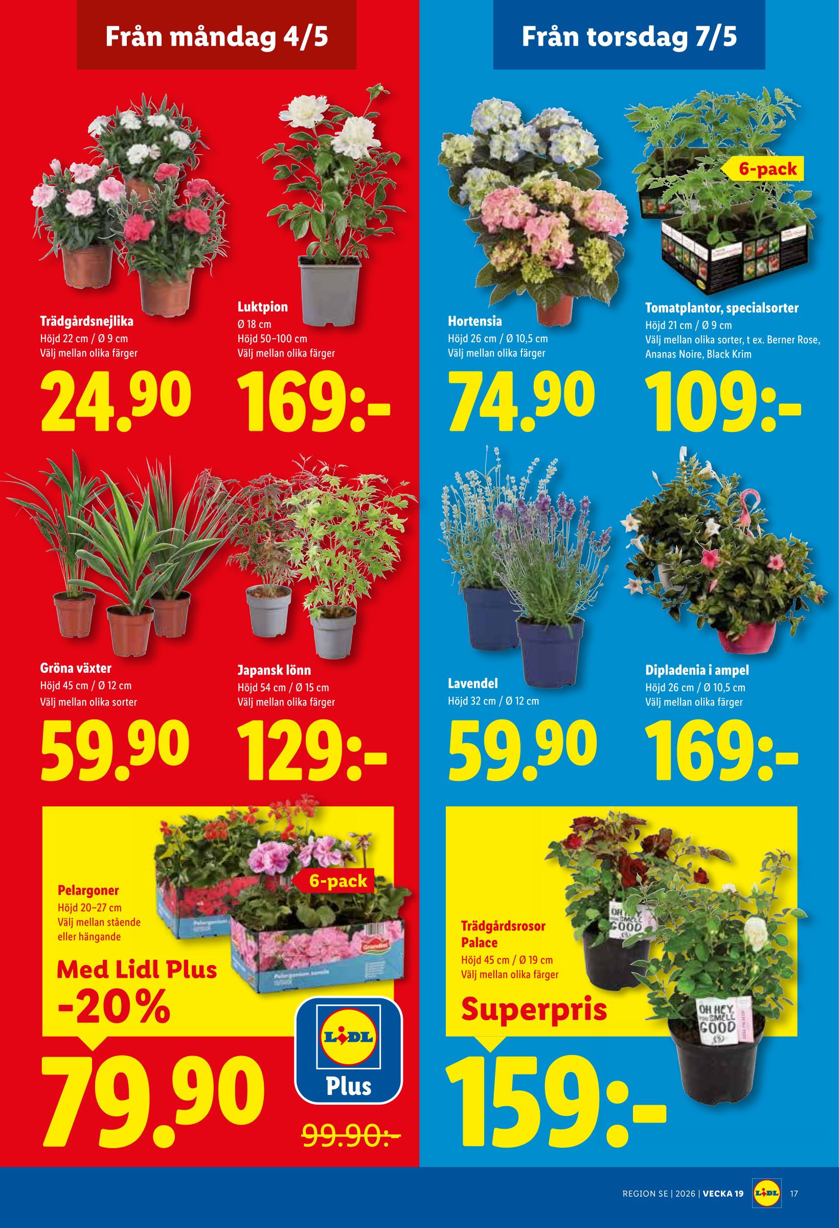 lidl - Aktuellt Lidl reklamblad giltigt från måndag 04/05/2026 till söndag 10/05/2026 - page: 19