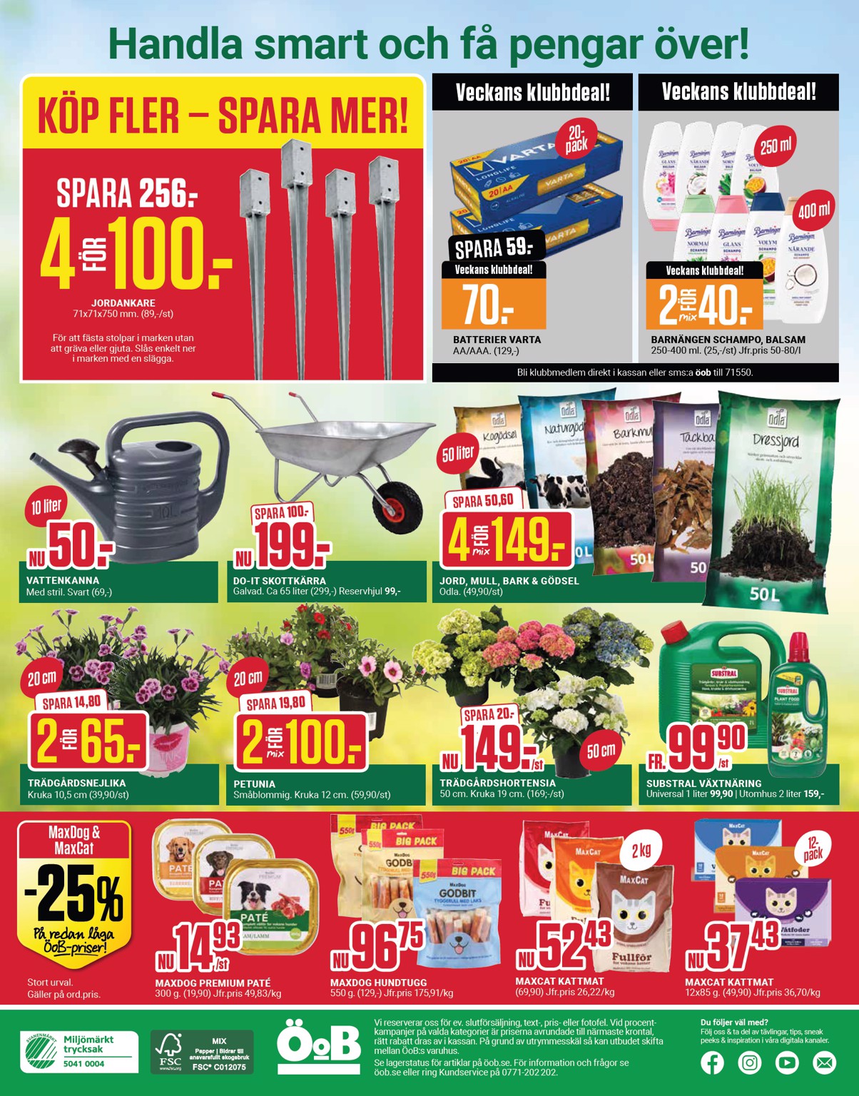 oob - Nytt ÖoB reklamblad från måndag, 08/06/2026 till söndag, 14/06/2026 - page: 12