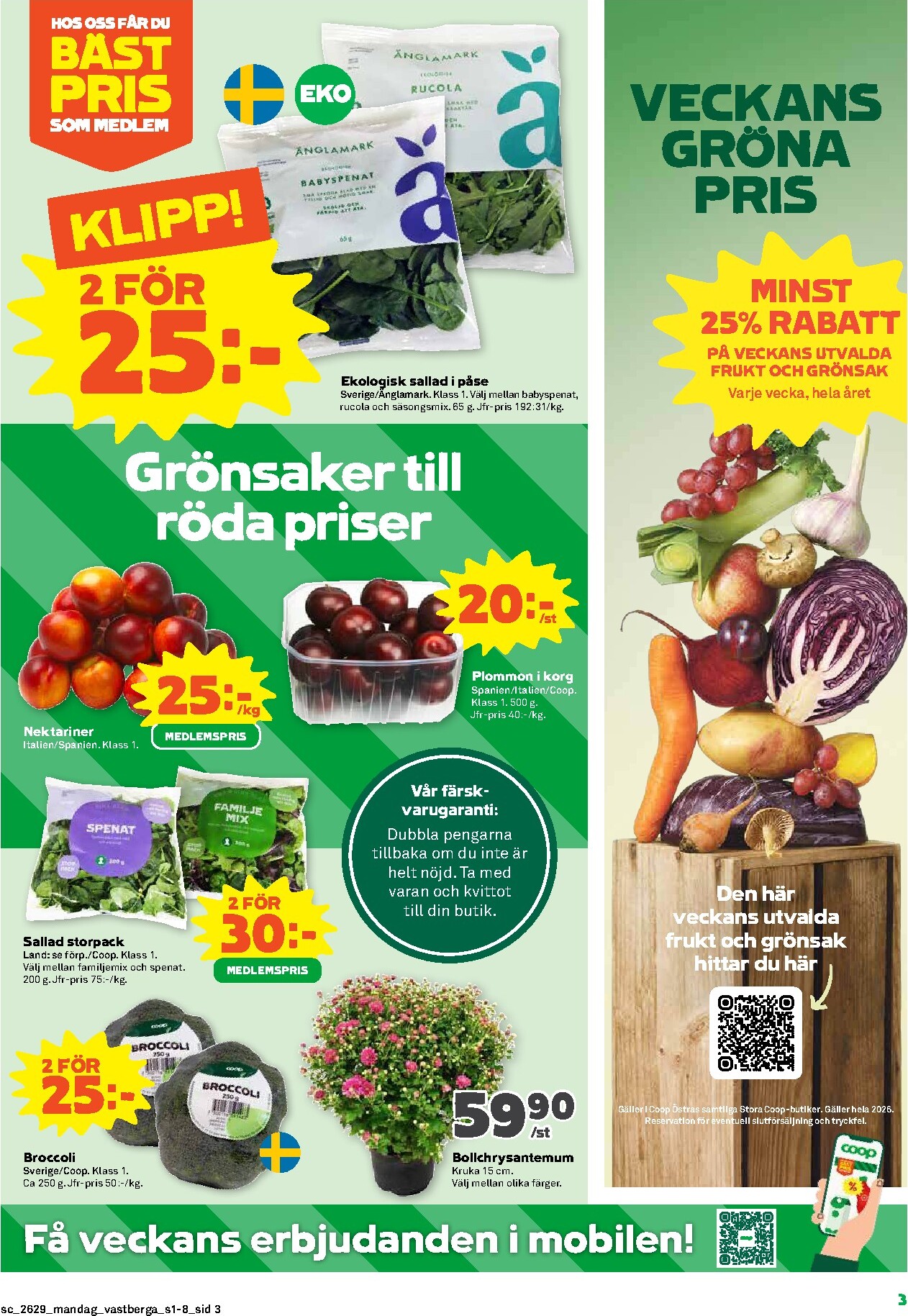 coop - Nytt Stora Coop reklamblad från måndag, 13/07/2026 till söndag, 19/07/2026 - page: 3