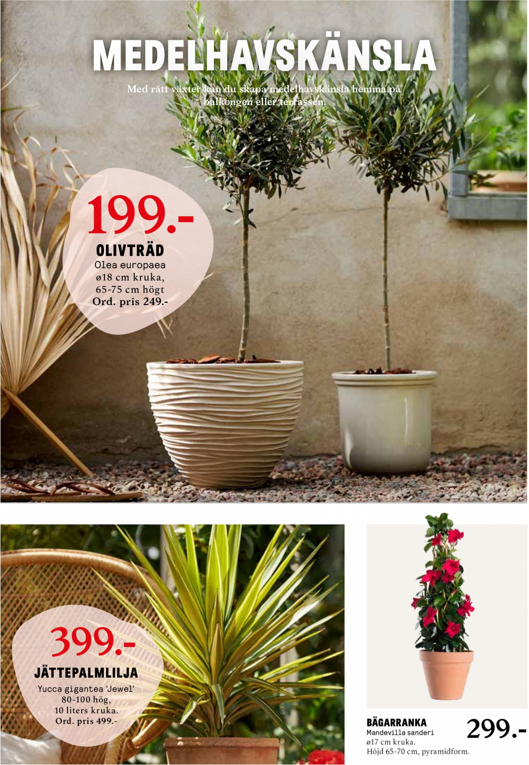 blomster-landet - Flyer Blomster Landet current 29.04. - 05.05. - page: 5