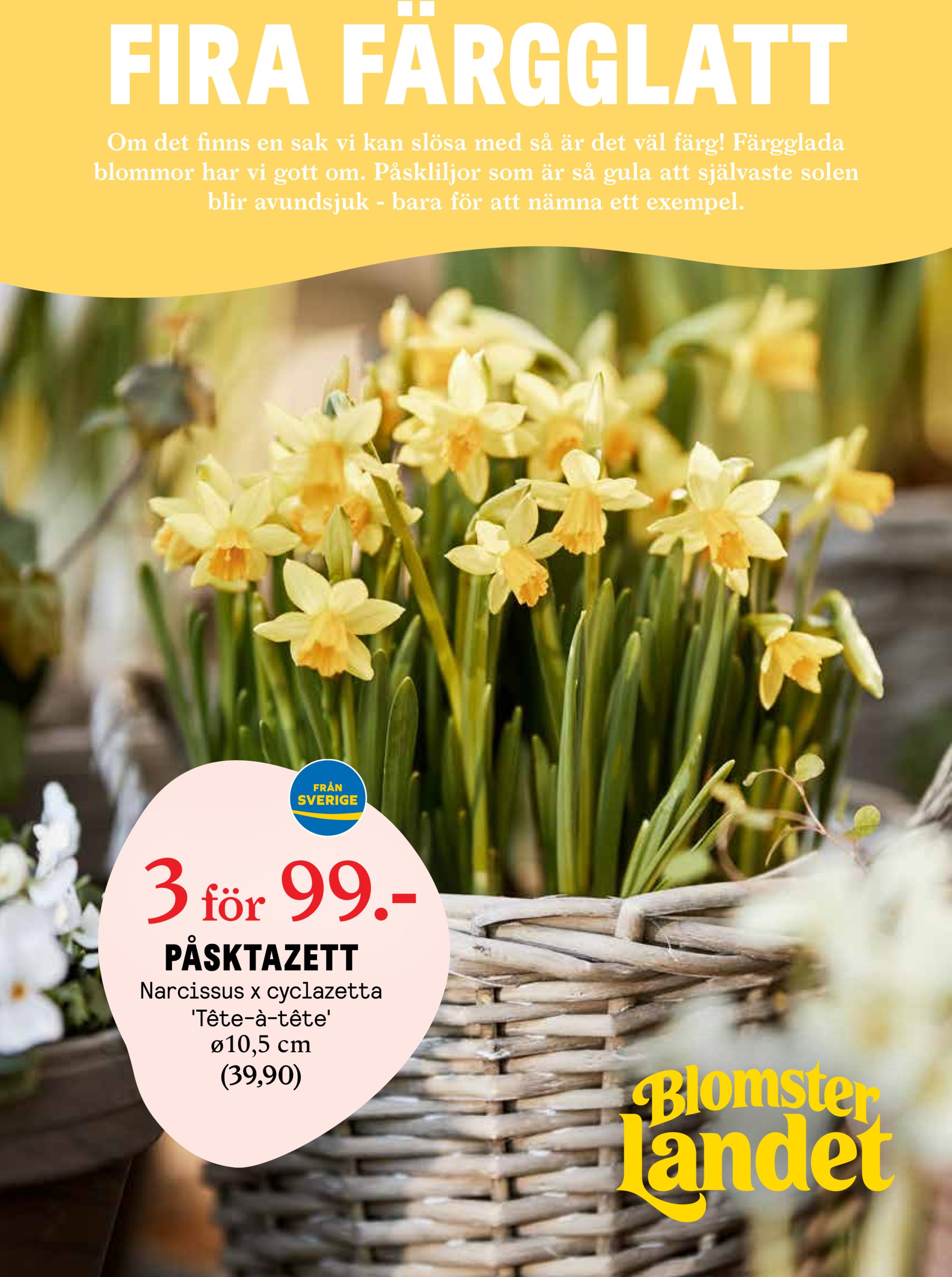 blomster-landet - Blomster Landet-reklambladet giltigt från 31/03 - 06/04