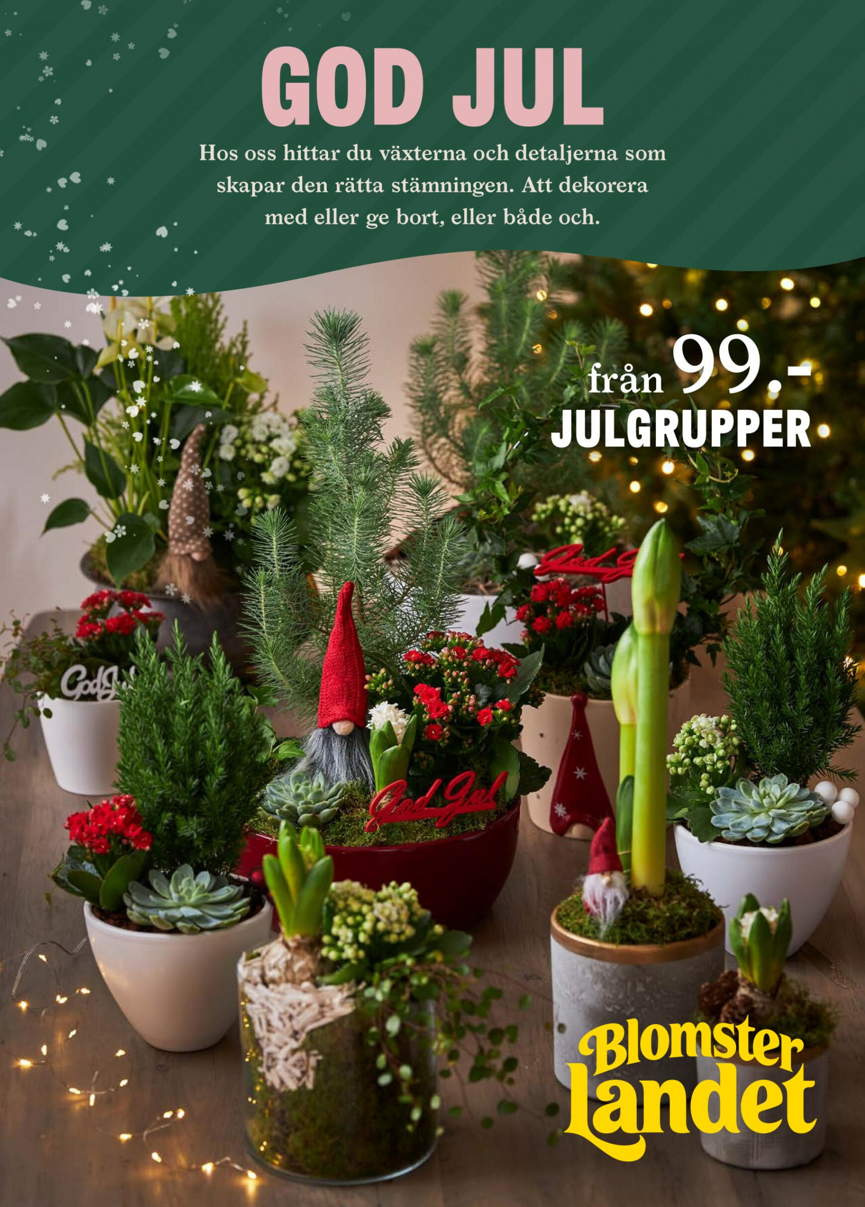 blomster-landet - Blomster Landet - Blomsterlandet giltigt från och med 18.12.2023
