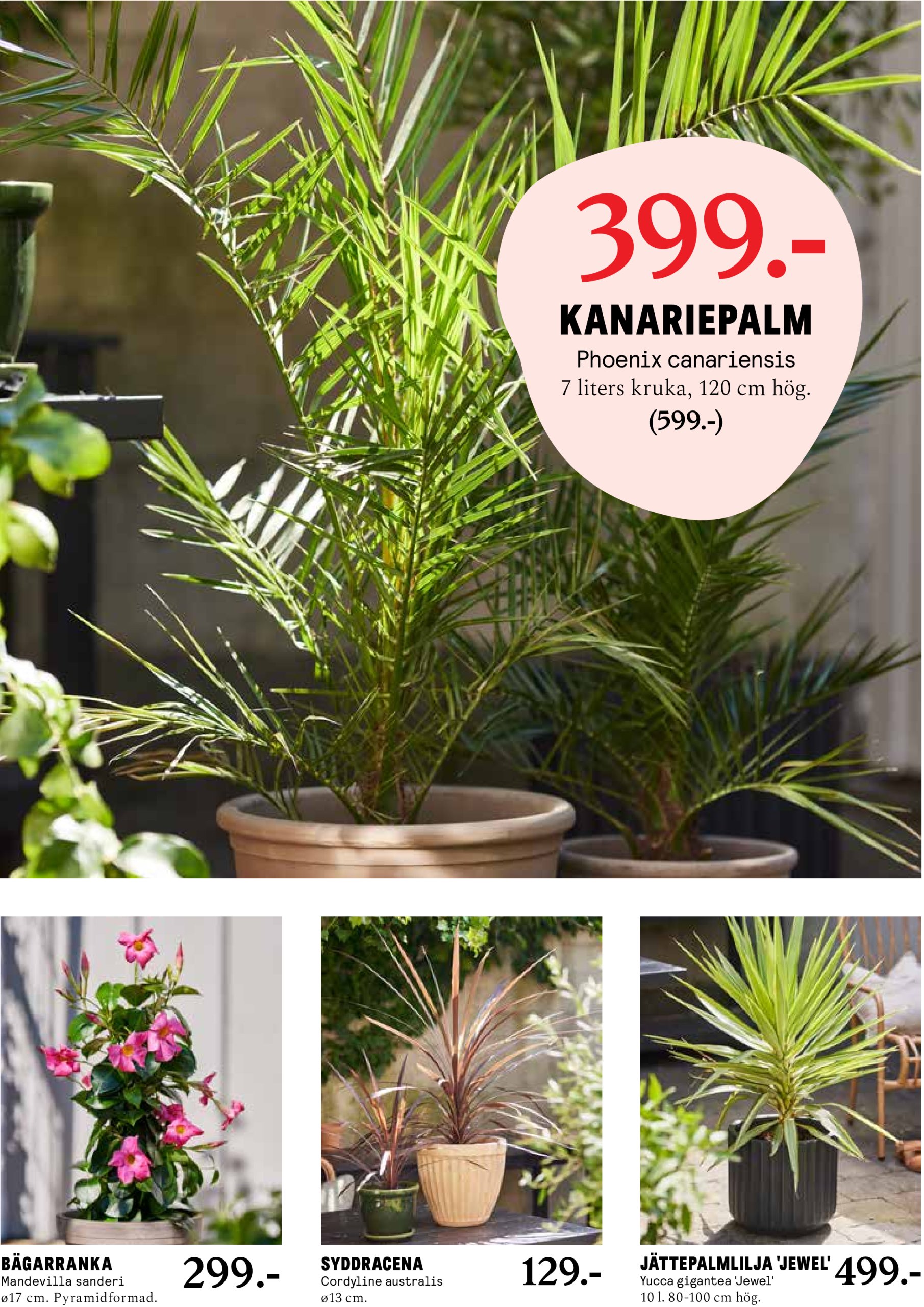 blomster-landet - Blomster Landet-reklambladet giltigt från 12/05 - 18/05 - page: 5