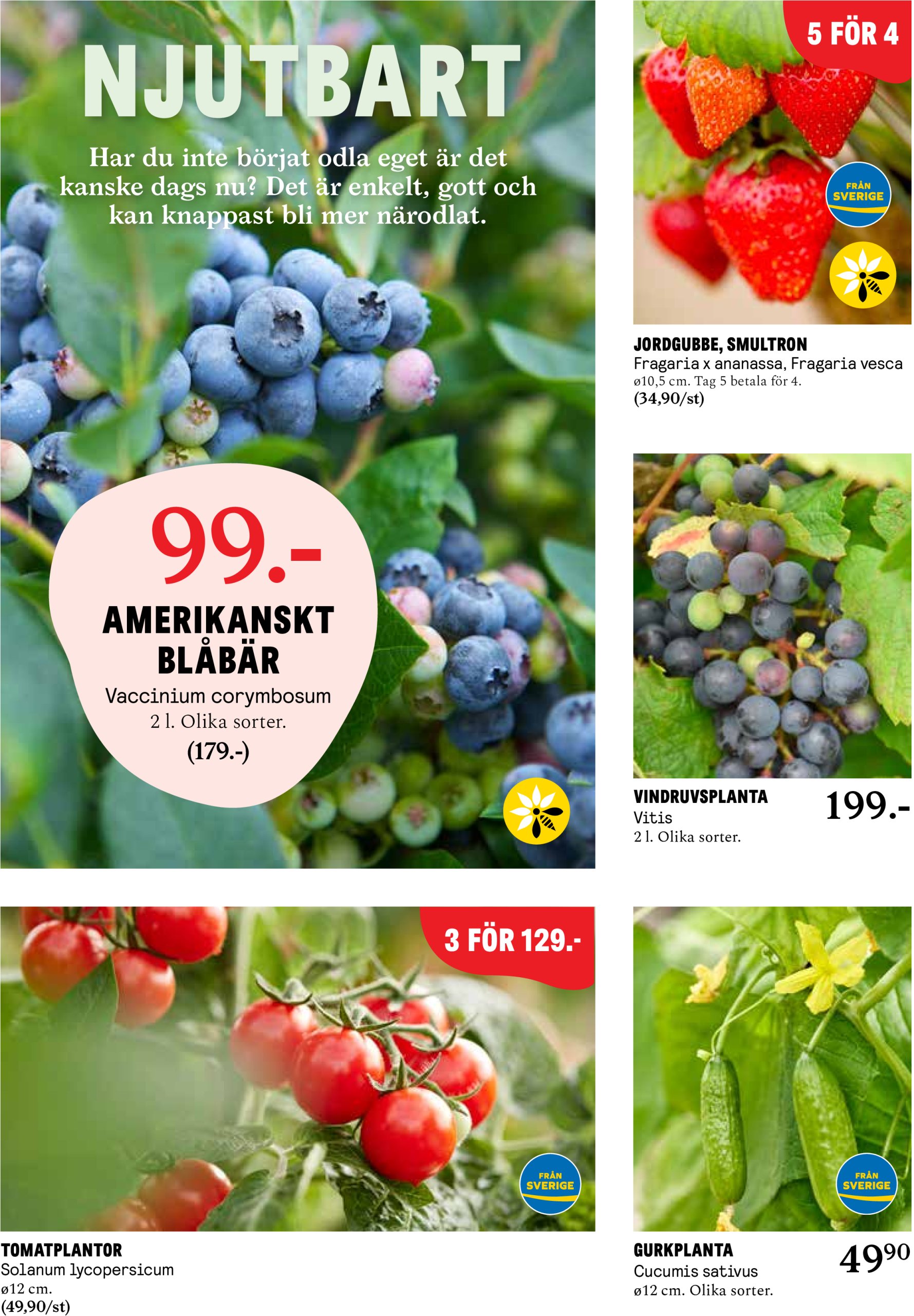blomster-landet - Blomster Landet-reklambladet giltigt från 12/05 - 18/05 - page: 7