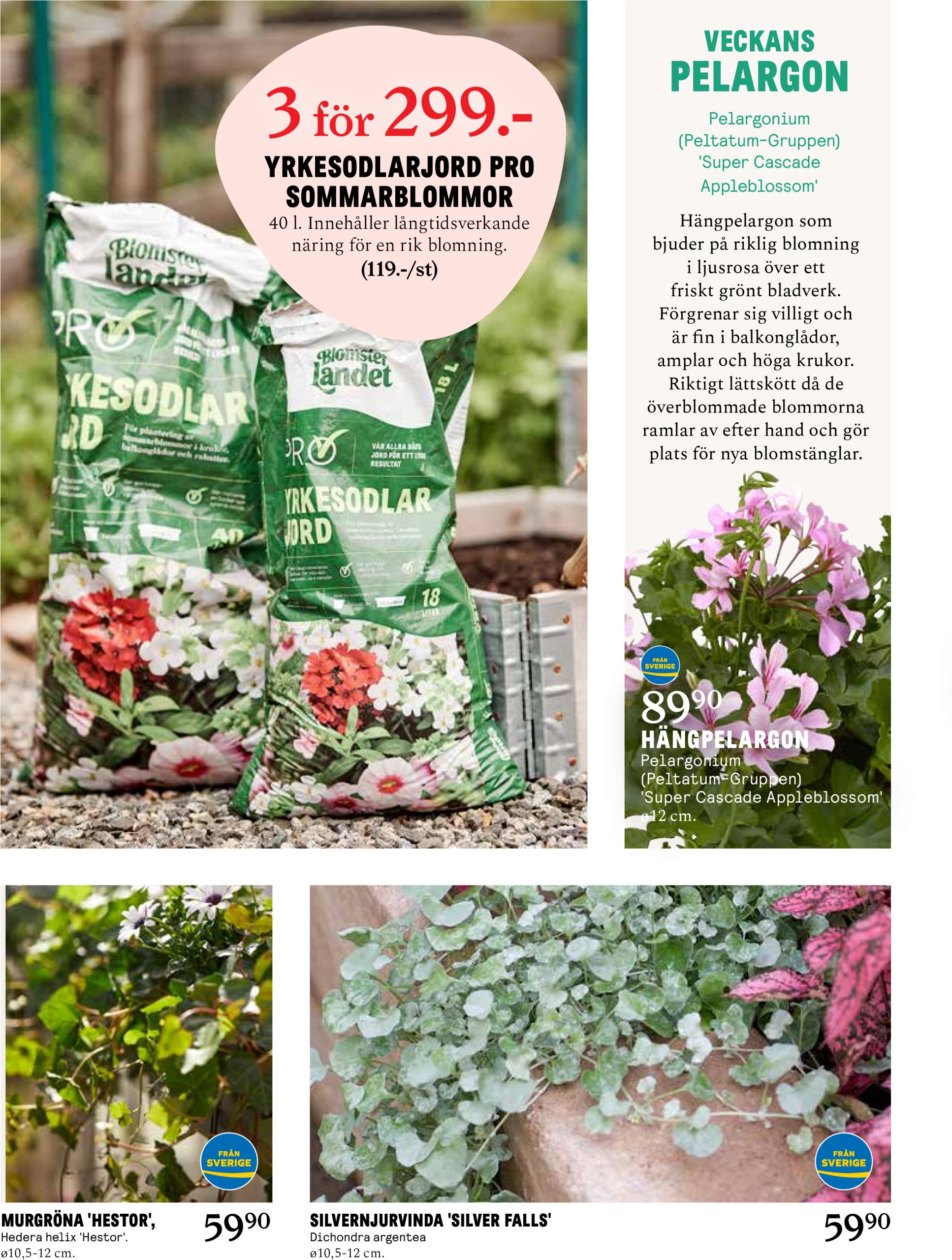 blomster-landet - Blomster Landet-reklambladet giltigt från 19/05 - 25/05 - page: 6
