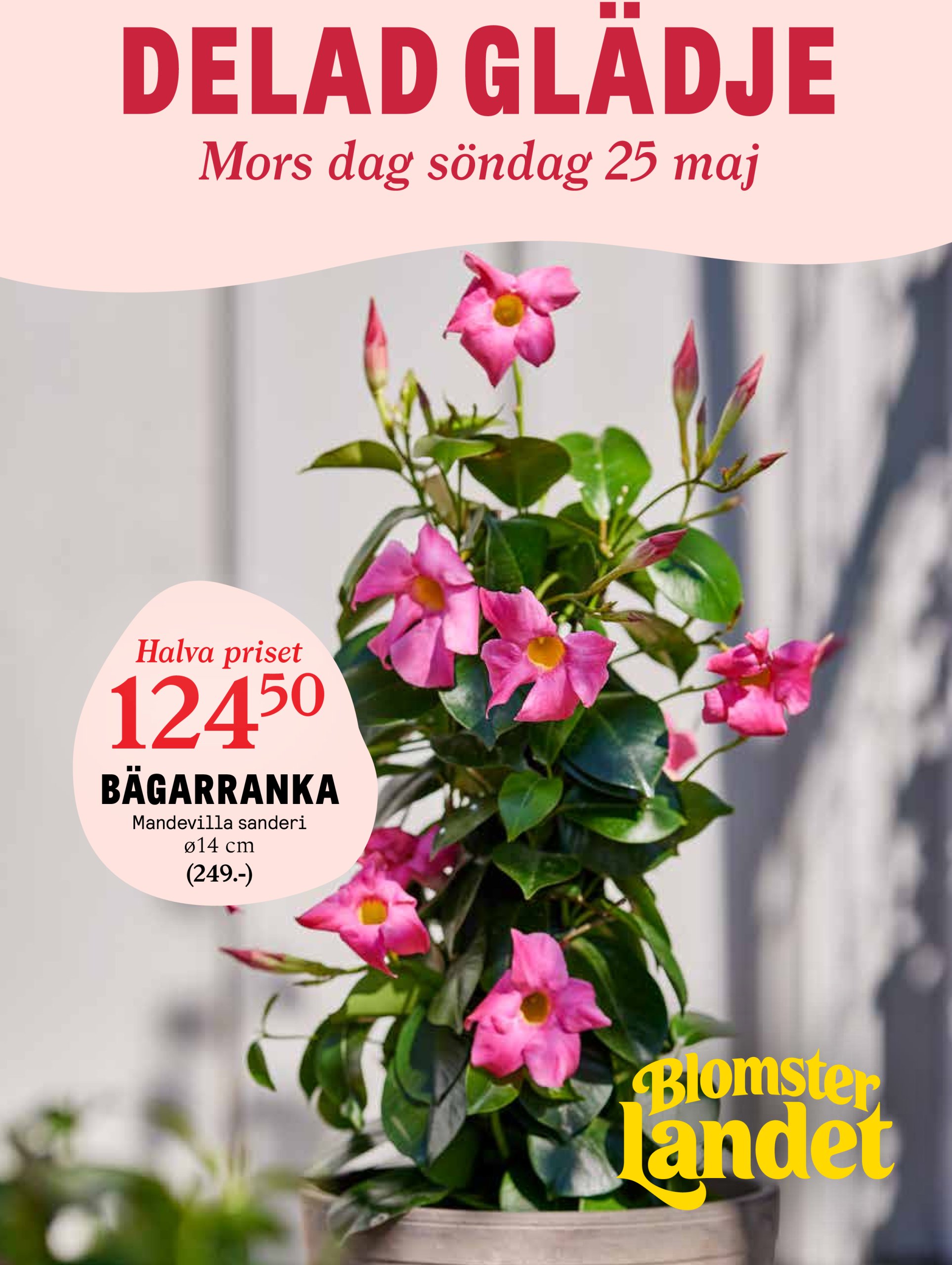 blomster-landet - Blomster Landet-reklambladet giltigt från 19/05 - 25/05