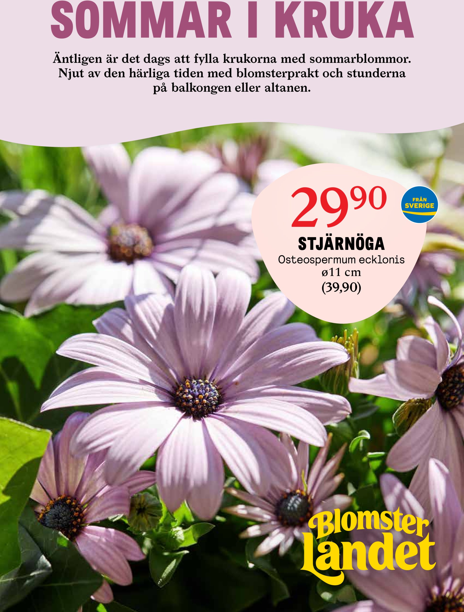 blomster-landet - Blomster Landet-reklambladet giltigt från 26/05 - 01/06