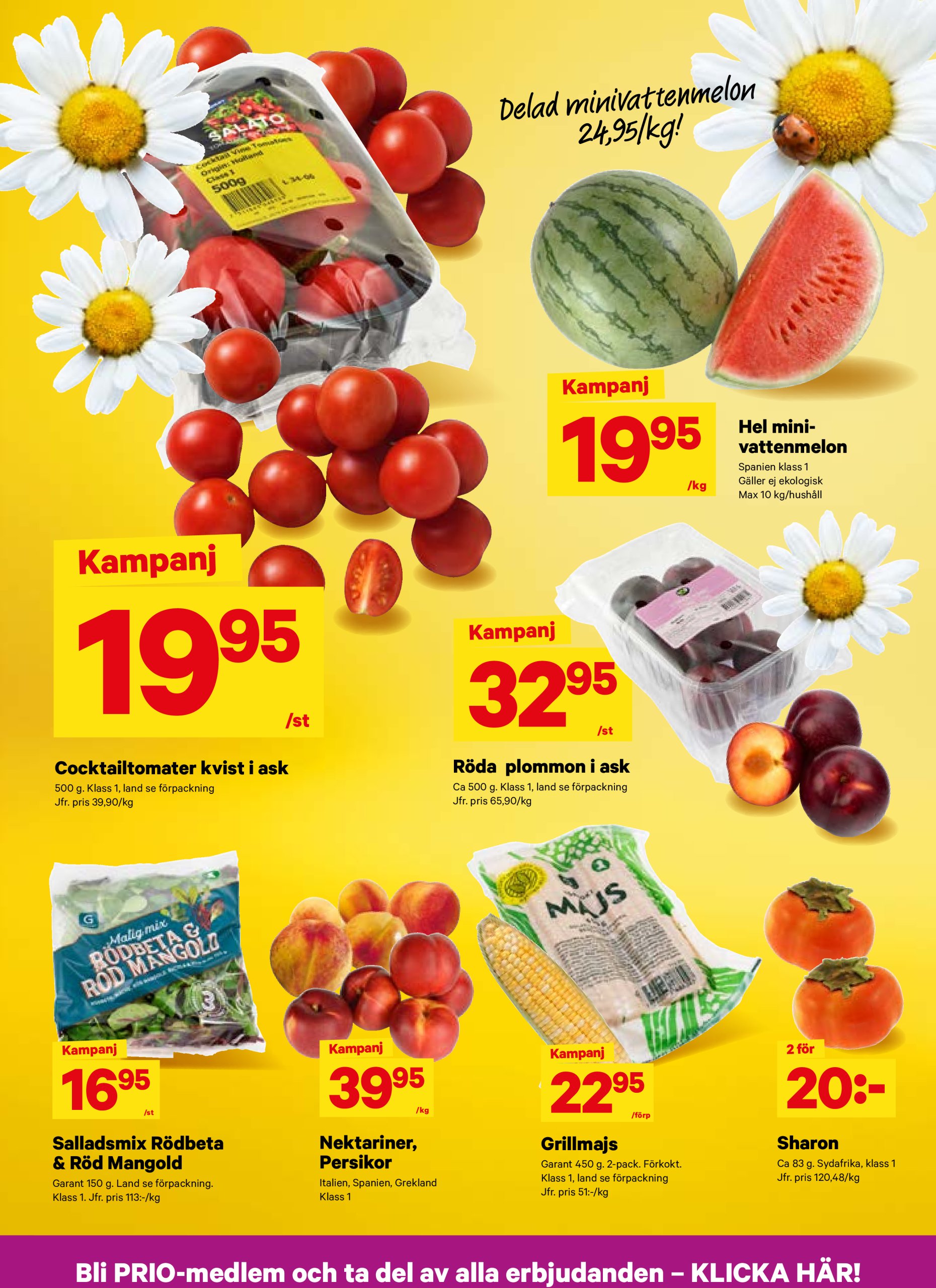 city-gross - City Gross-reklambladet giltigt från 09/06 - 15/06 - page: 3