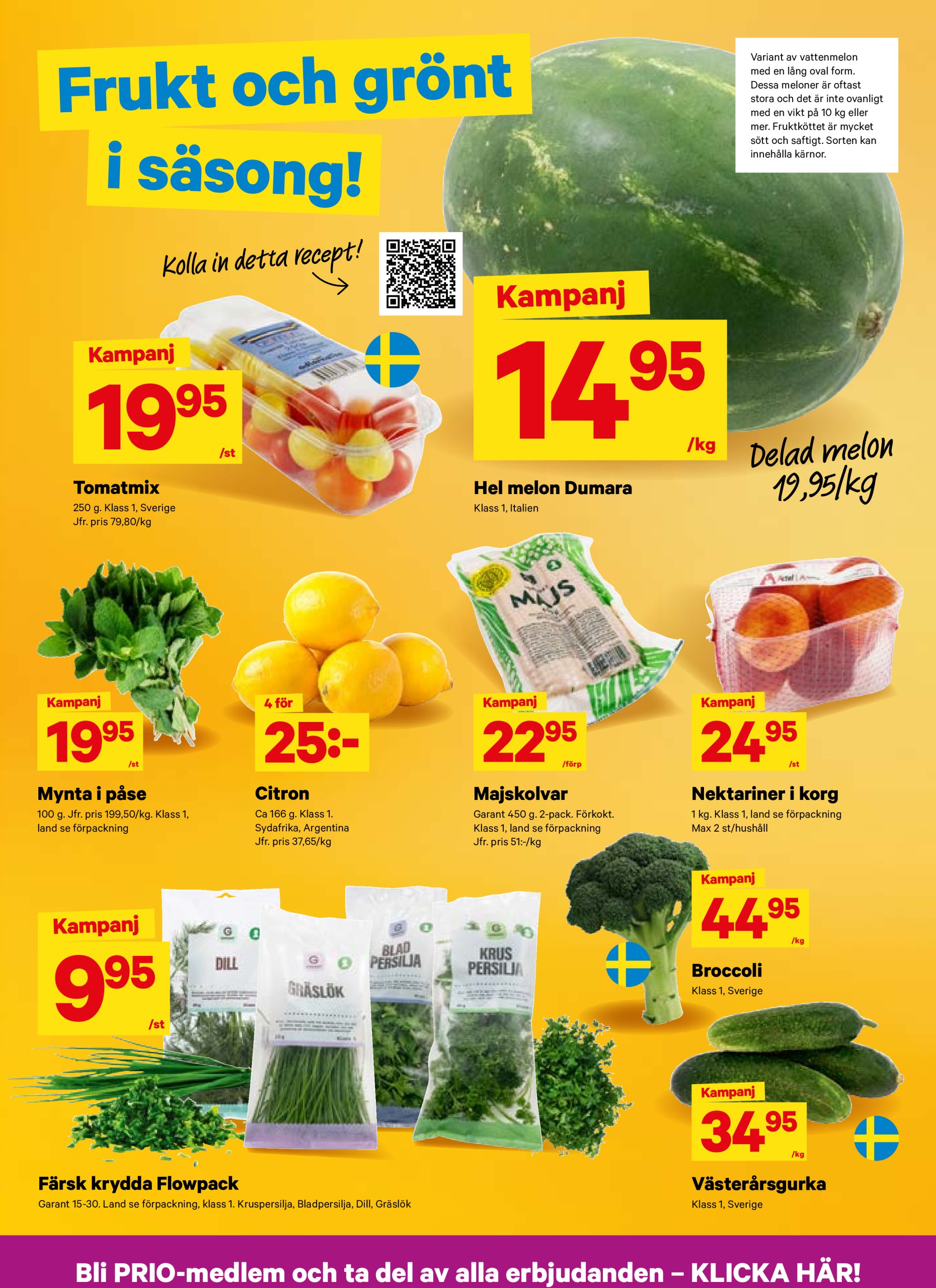 city-gross - City Gross-reklambladet giltigt från 21/07 - 27/07 - page: 3