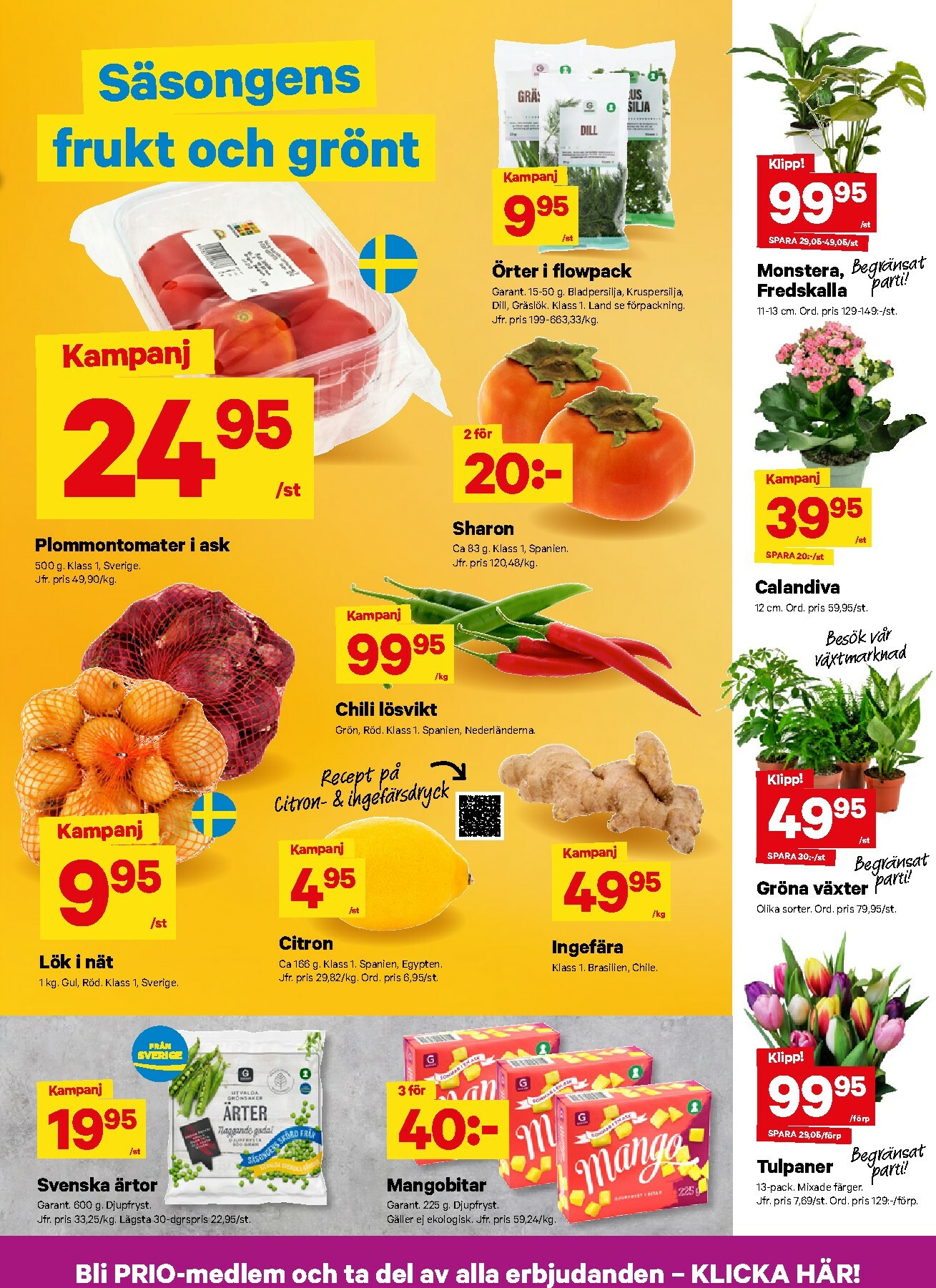 city-gross - City Gross-reklambladet giltigt från 19/01 - 25/01 - page: 3