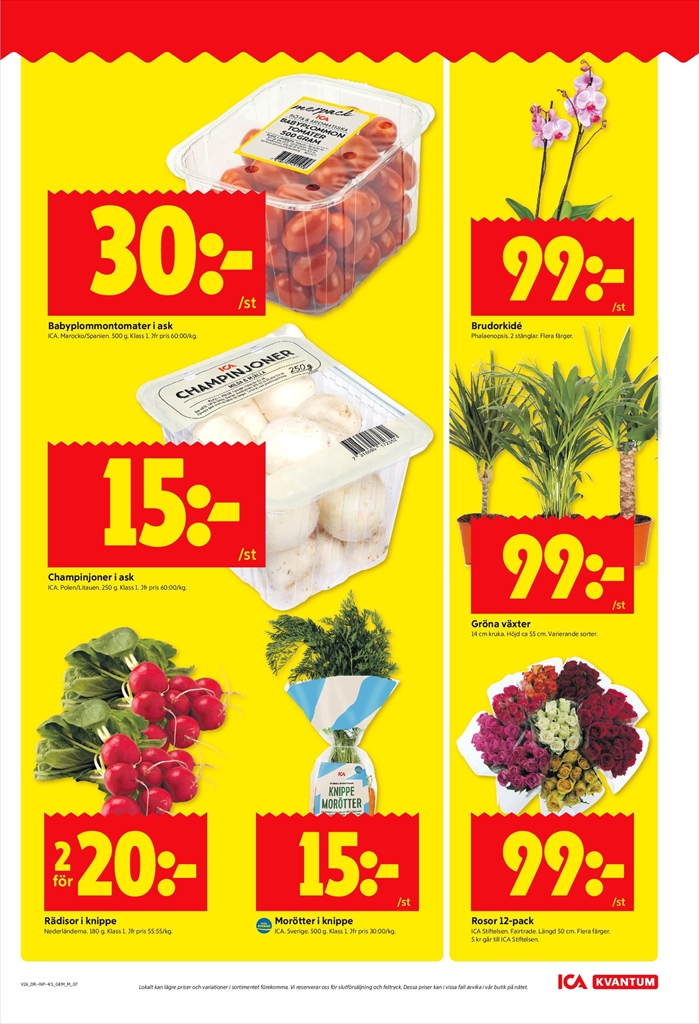 ica-kvantum - ICA Kvantum-reklambladet giltigt från 23/06 - 29/06 - page: 7