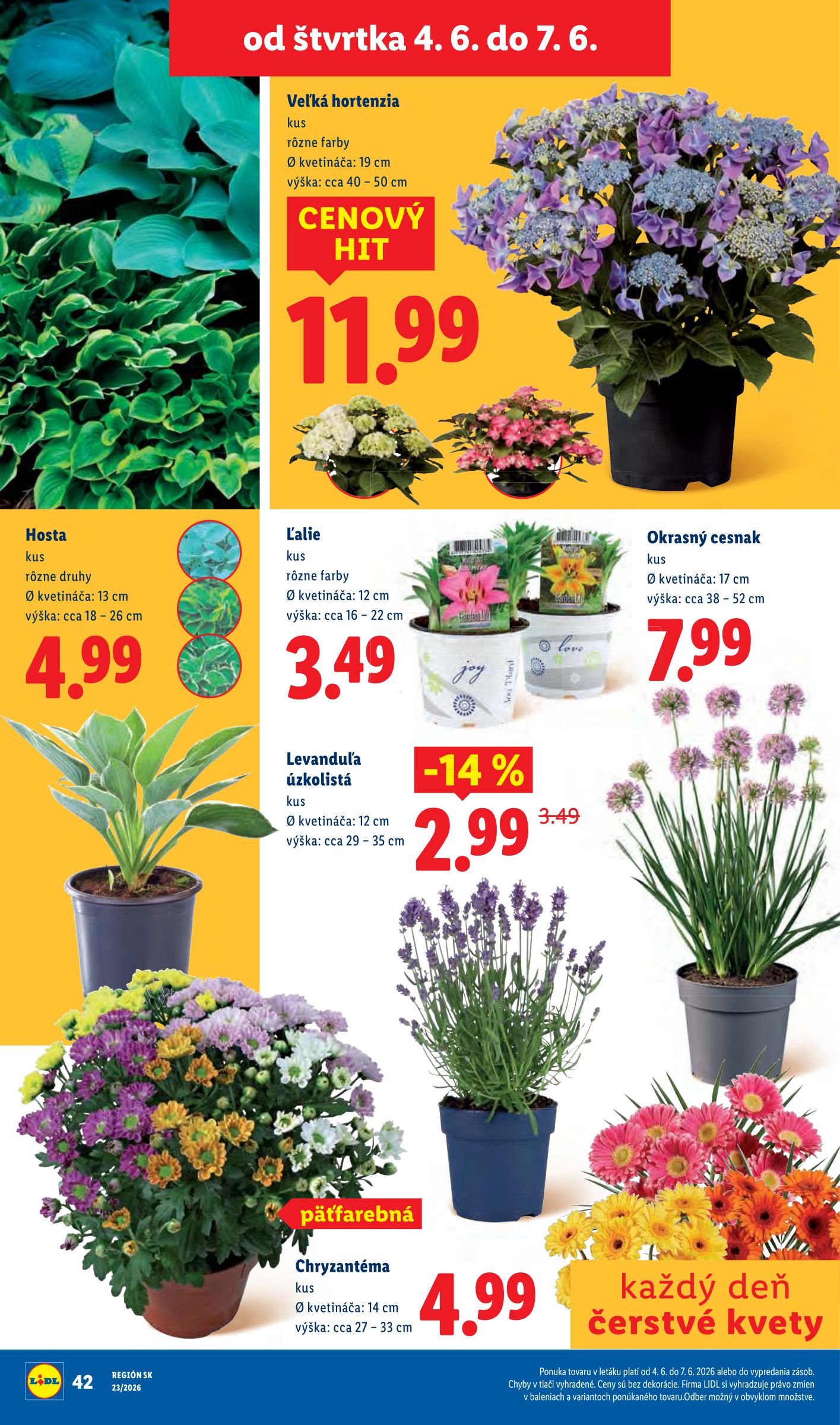 lidl - Aktuálny Lidl leták od pondelka, 01.06.2026 do nedele, 07.06.2026 - page: 82