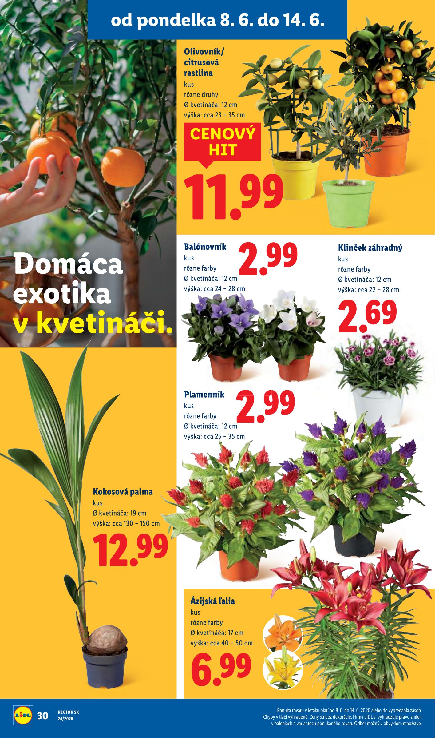 lidl - Aktuálny Lidl leták od pondelka, 08.06.2026 do nedele, 14.06.2026 - page: 44