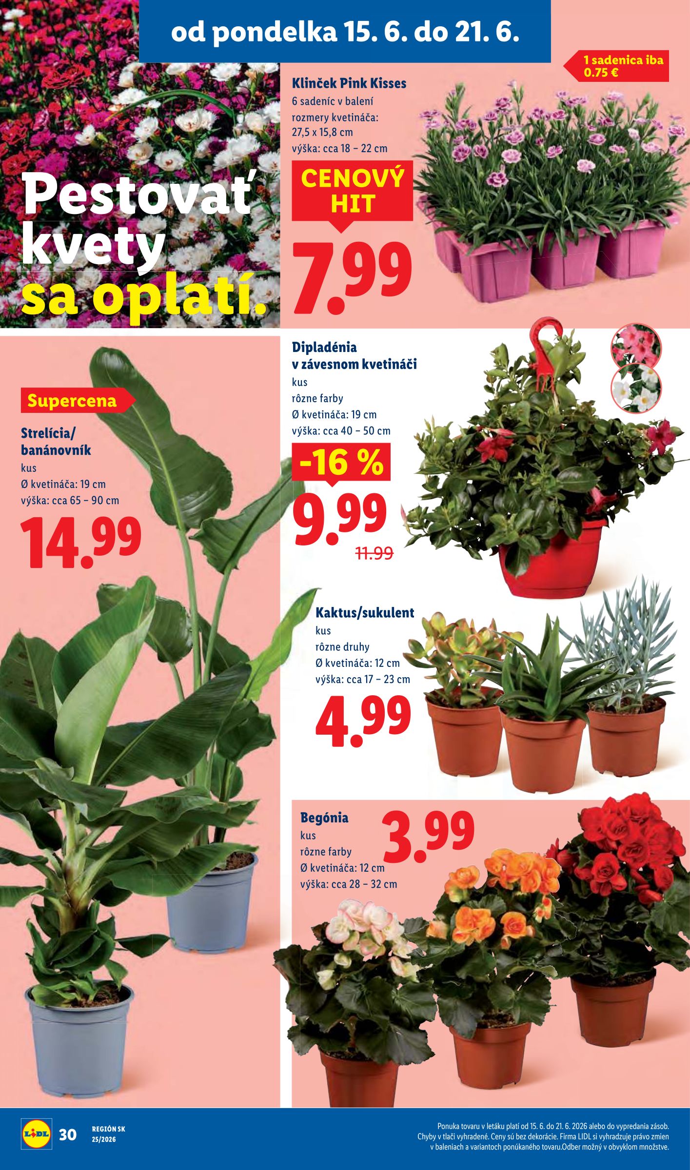 lidl - Nový Lidl leták od pondelka, 15.06.2026 do nedele, 21.06.2026 - page: 45