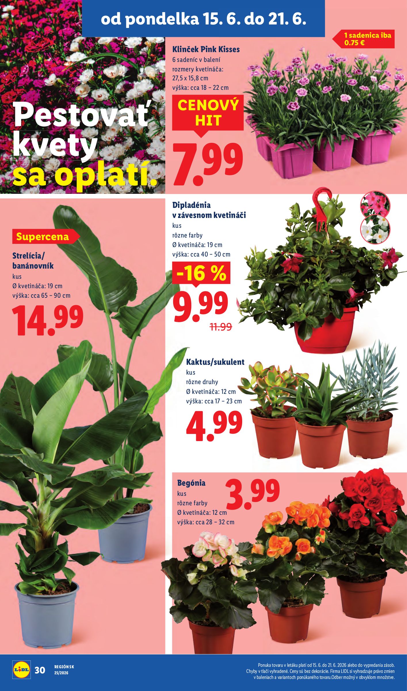 lidl - Aktuálny Lidl leták od pondelka, 15.06.2026 do nedele, 21.06.2026 - page: 49