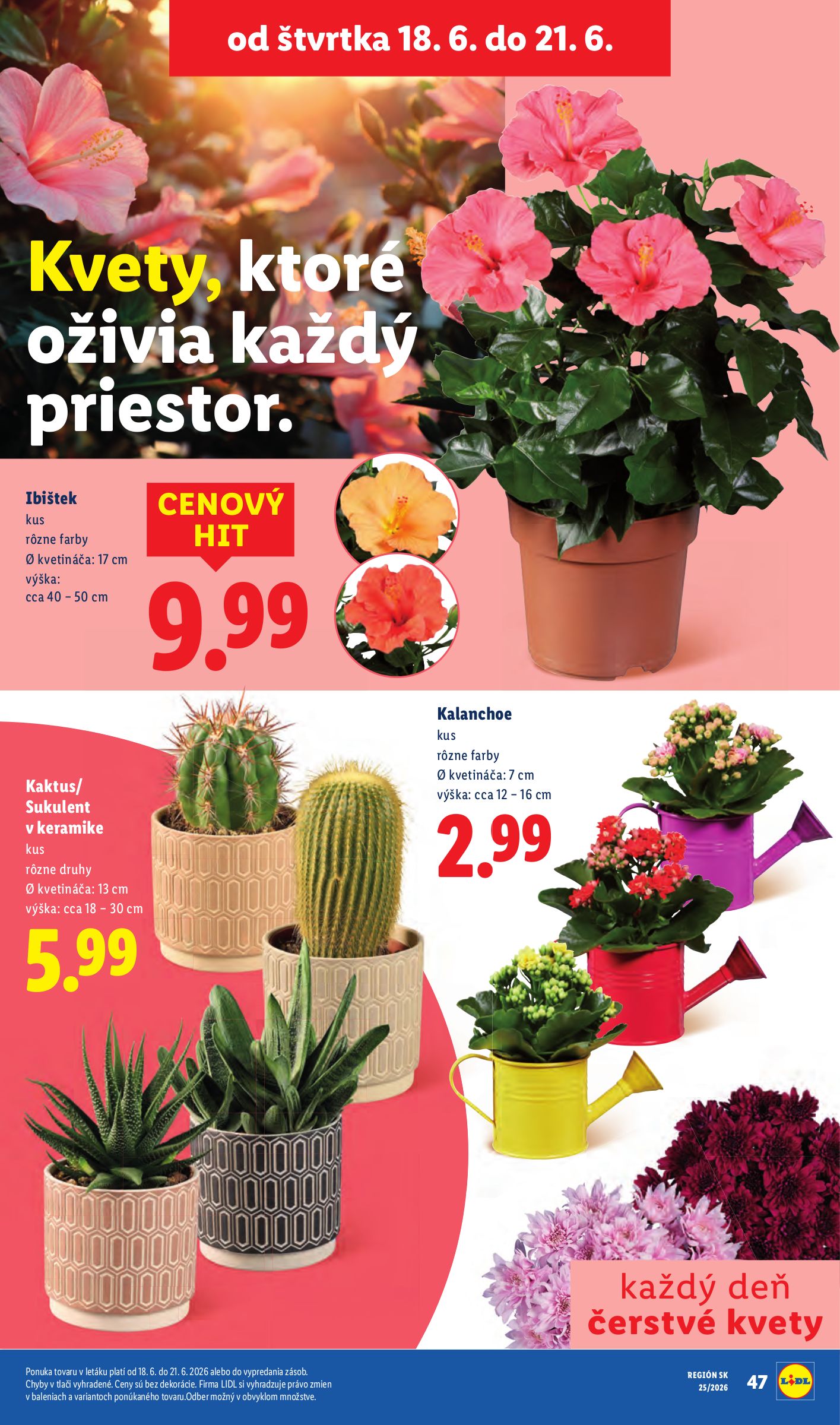 lidl - Aktuálny Lidl leták od pondelka, 15.06.2026 do nedele, 21.06.2026 - page: 83
