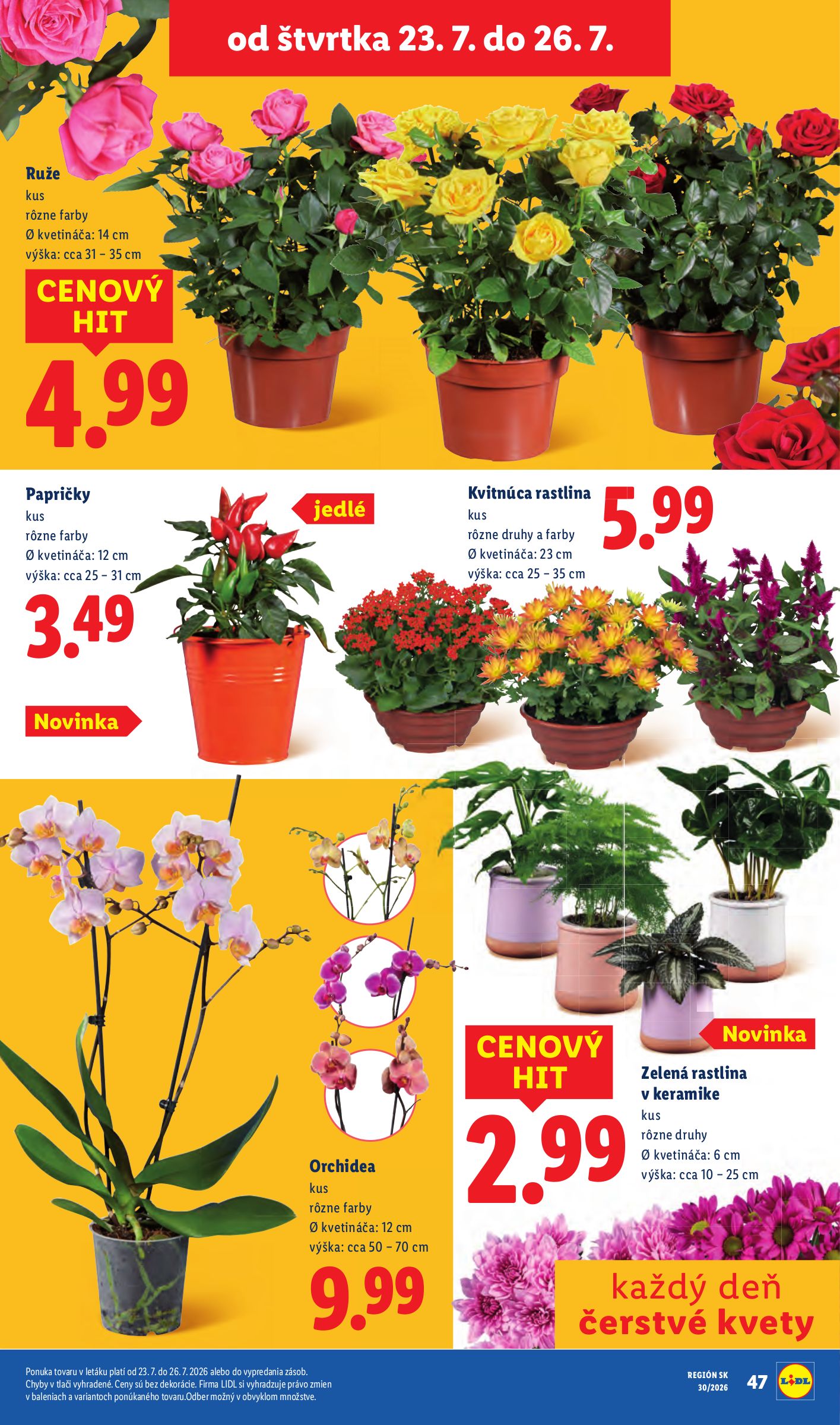lidl - Nový Lidl leták od pondelka, 20.07.2026 do nedele, 26.07.2026 - page: 91