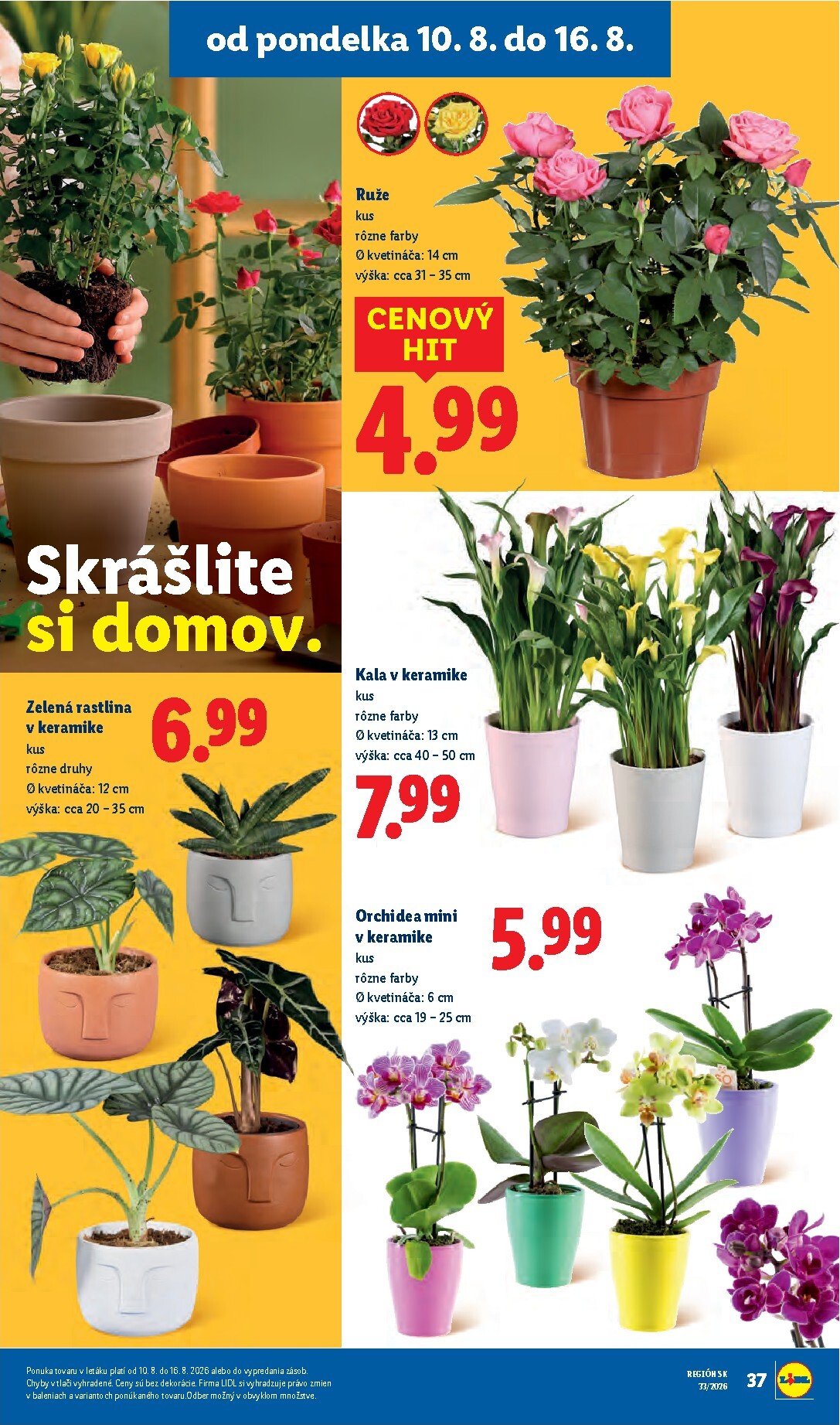 lidl - Nový Lidl leták od pondelka, 10.08.2026 do nedele, 16.08.2026 - page: 61