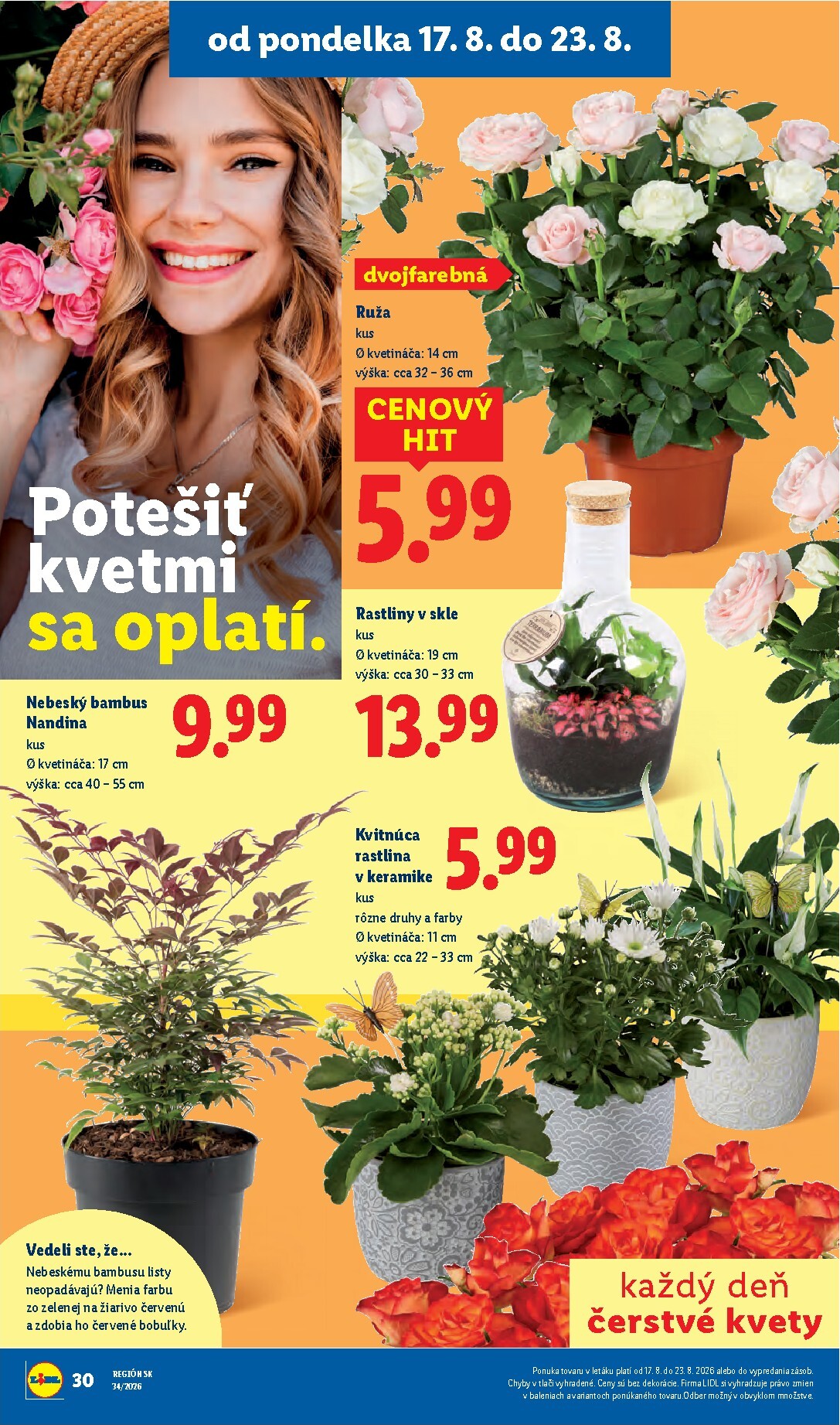 lidl - Nový Lidl leták od pondelka, 17.08.2026 do nedele, 23.08.2026 - page: 42