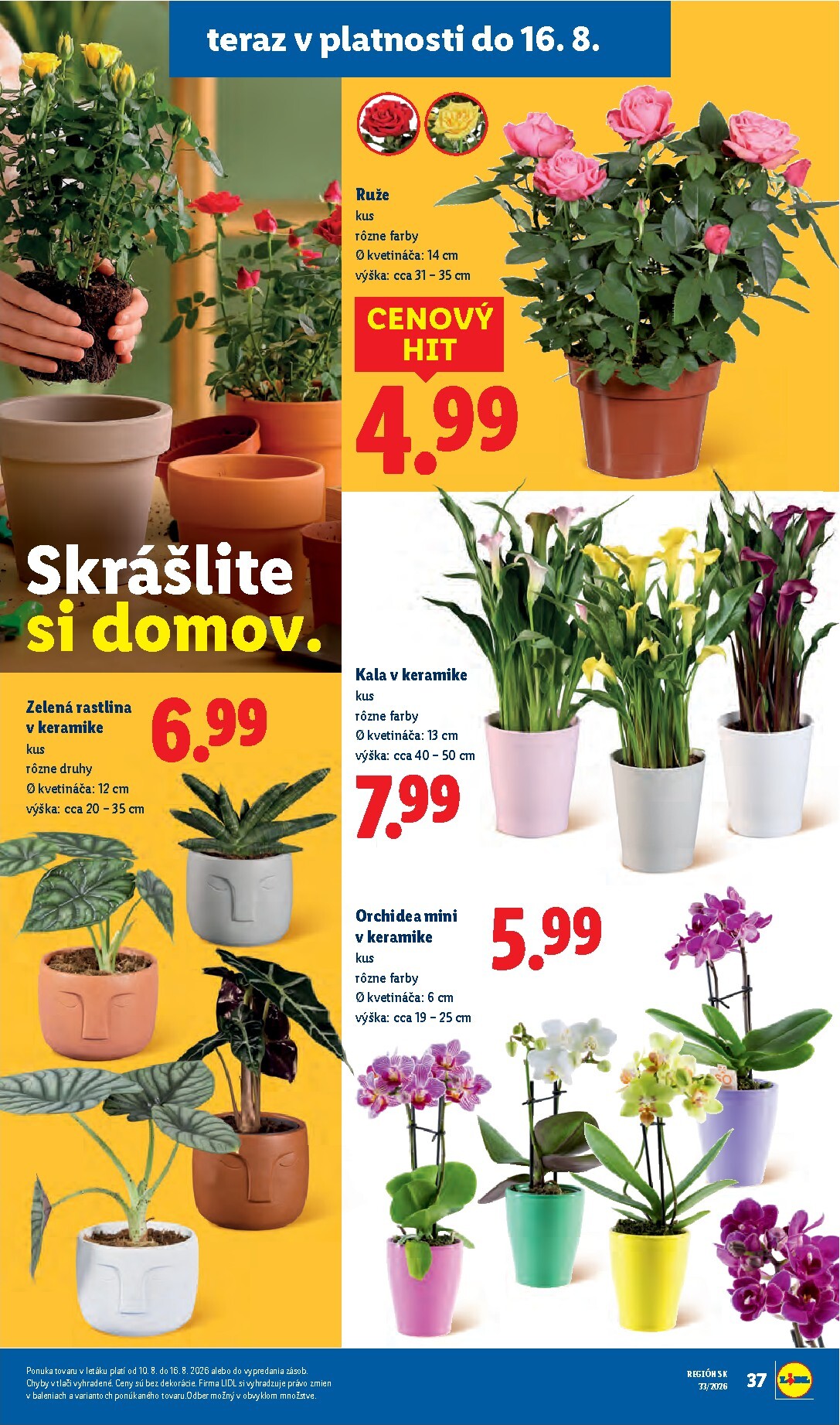 lidl - Aktuálny Lidl leták od pondelka, 10.08.2026 do nedele, 16.08.2026 - page: 61