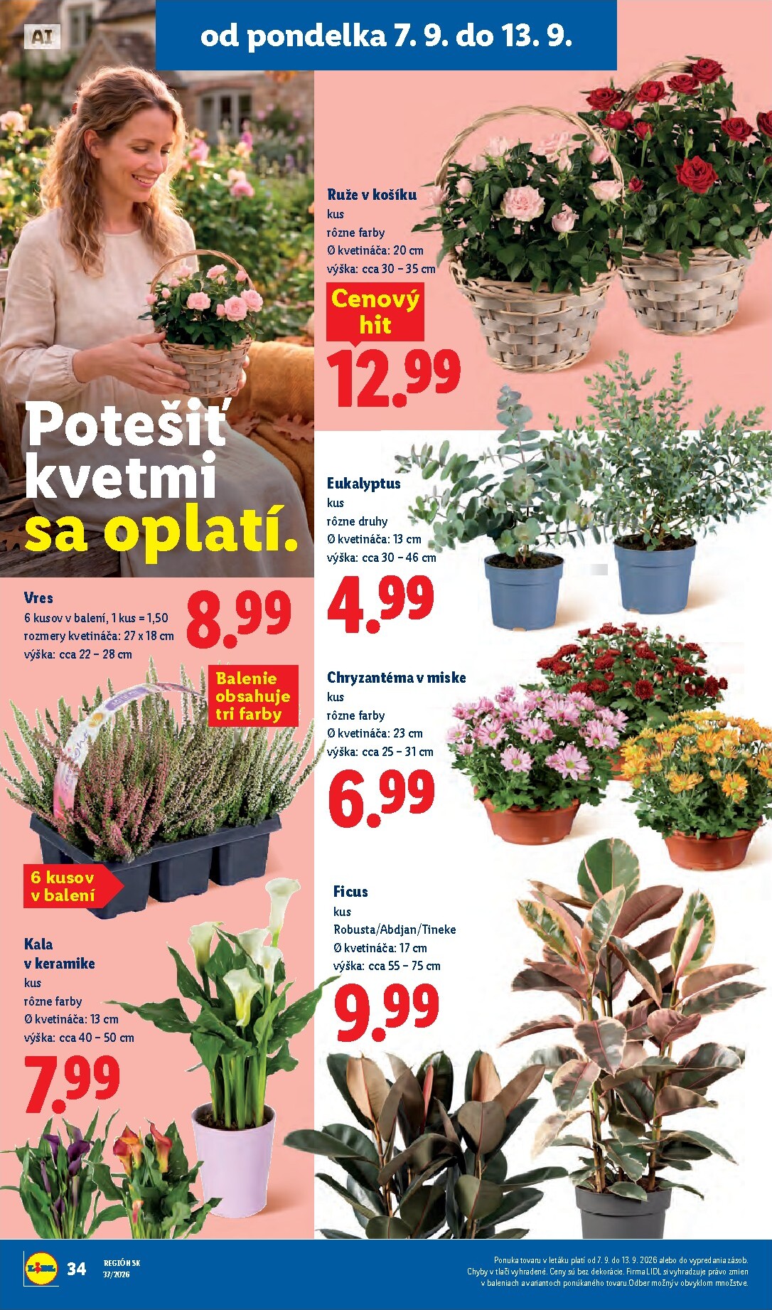 lidl - Nový Lidl leták od pondelka, 07.09.2026 do nedele, 13.09.2026 - page: 45