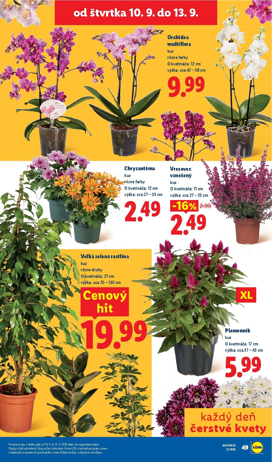 lidl - Nový Lidl leták od pondelka, 07.09.2026 do nedele, 13.09.2026 - page: 75