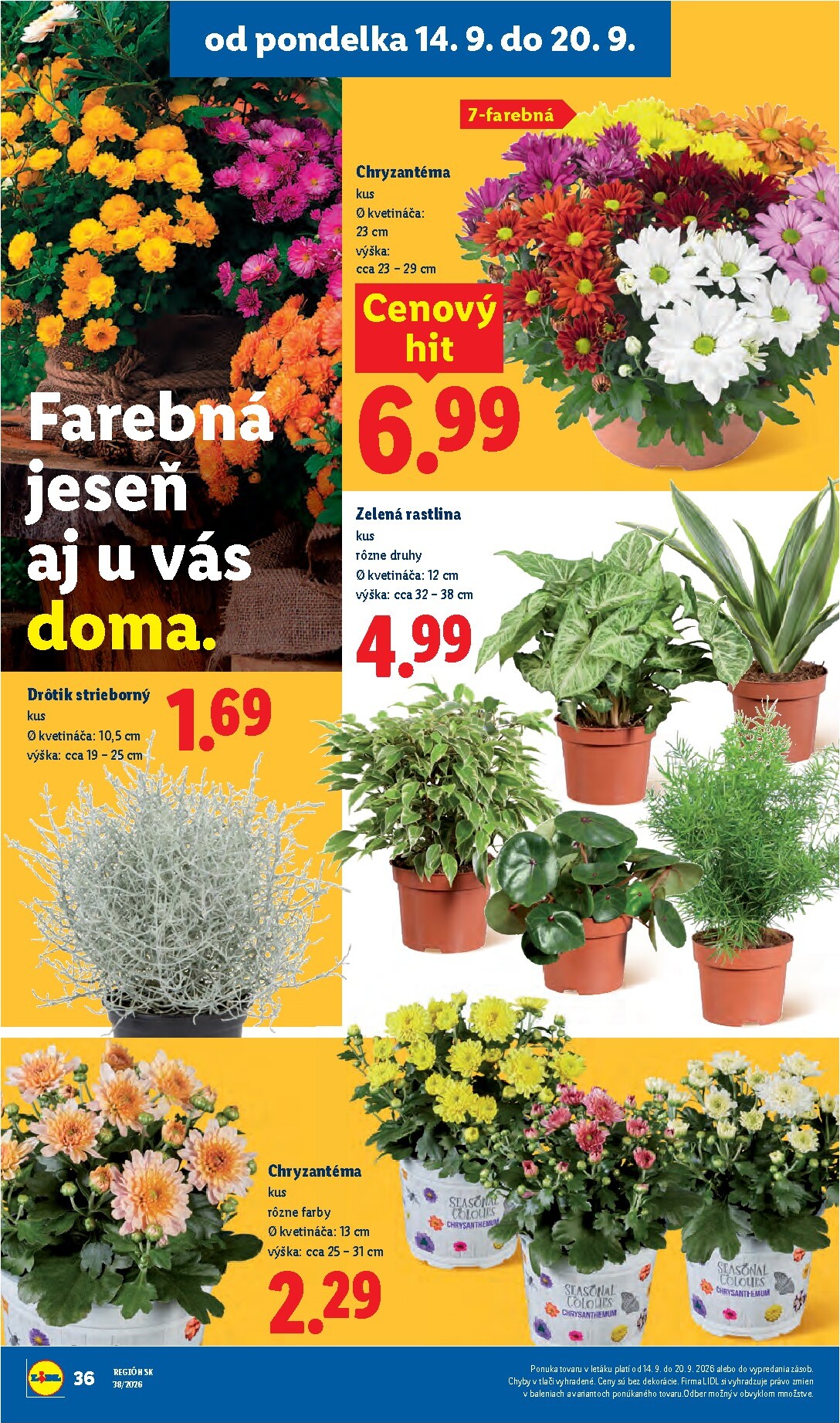 lidl - Nový Lidl leták od pondelka, 14.09.2026 do nedele, 20.09.2026 - page: 50