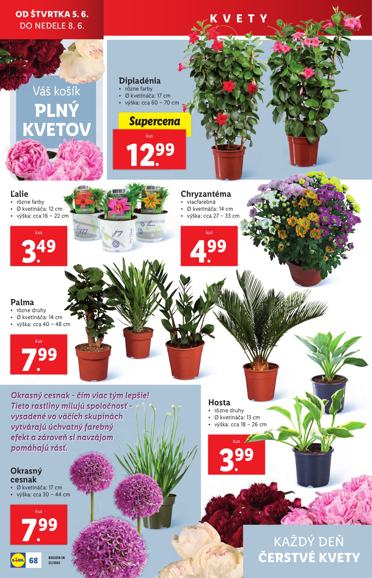 lidl - Lidl leták platný od 02.06. - 08.06. - page: 88 lidl - Lidl leták platný od 02.06. - 08.06. - page: 88