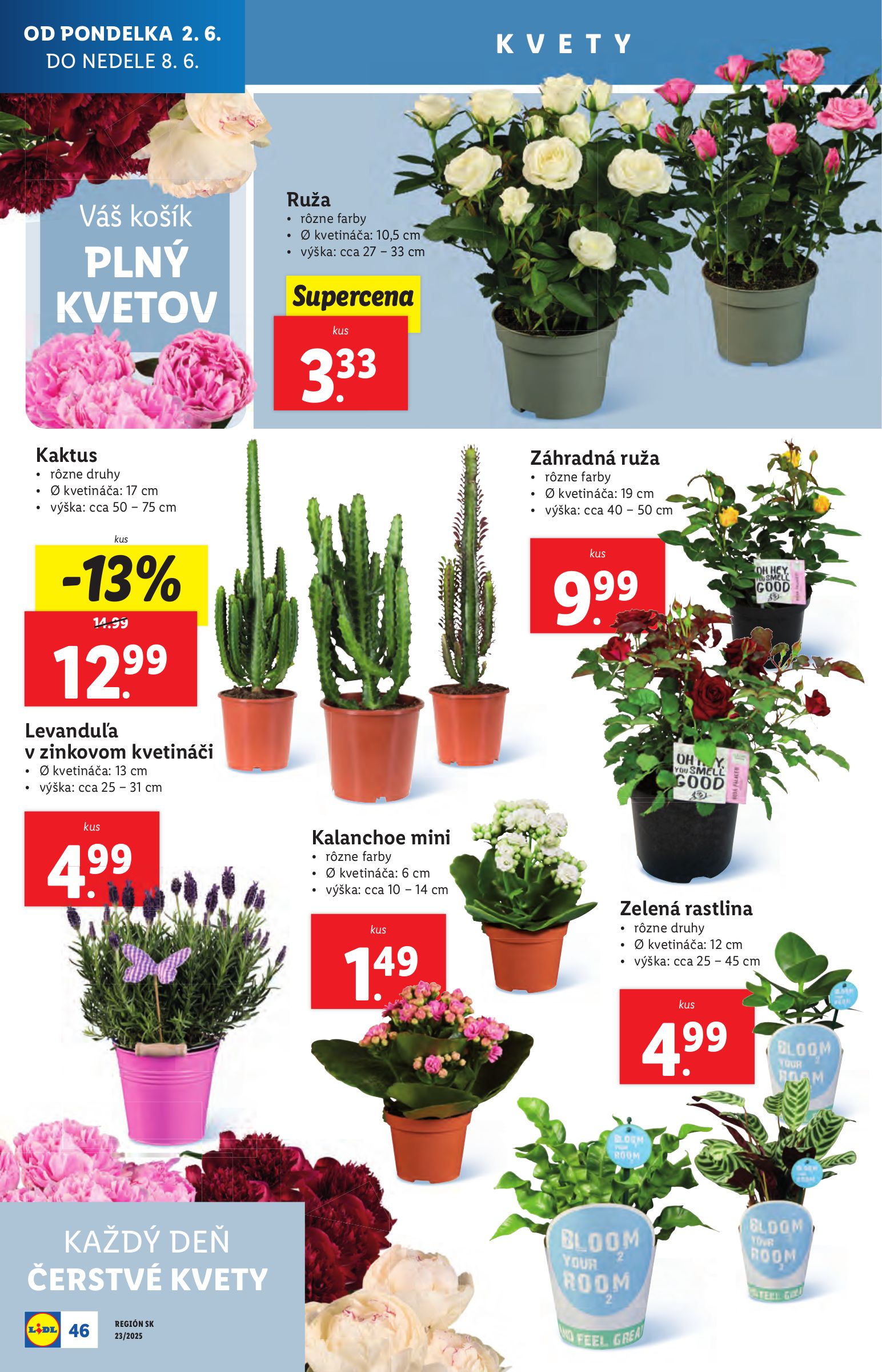 lidl - Lidl leták platný od 02.06. - 08.06. - page: 58 lidl - Lidl leták platný od 02.06. - 08.06. - page: 58