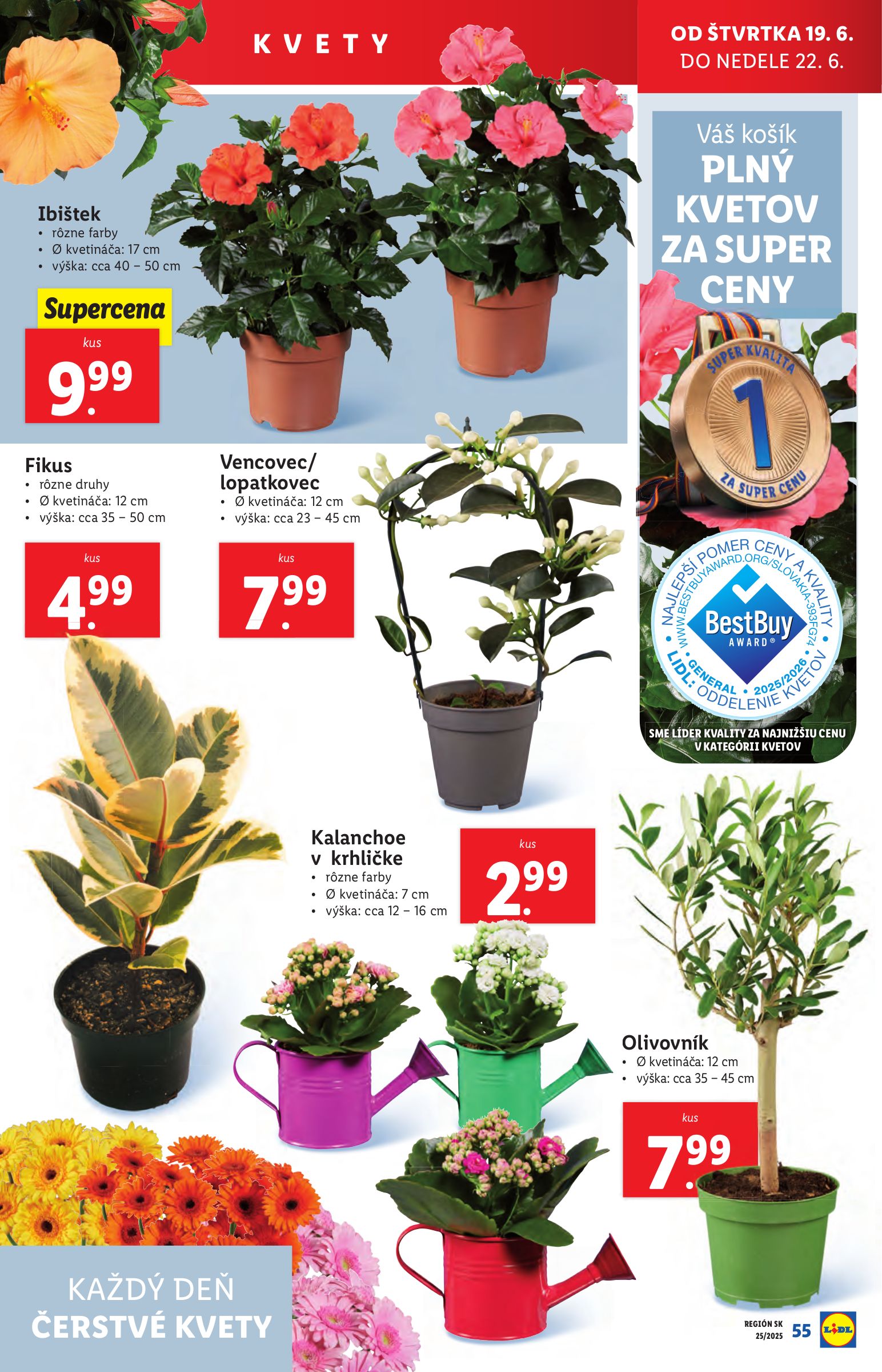 lidl - Leták Lidl platný od 16.06. do 22.06. - page: 77