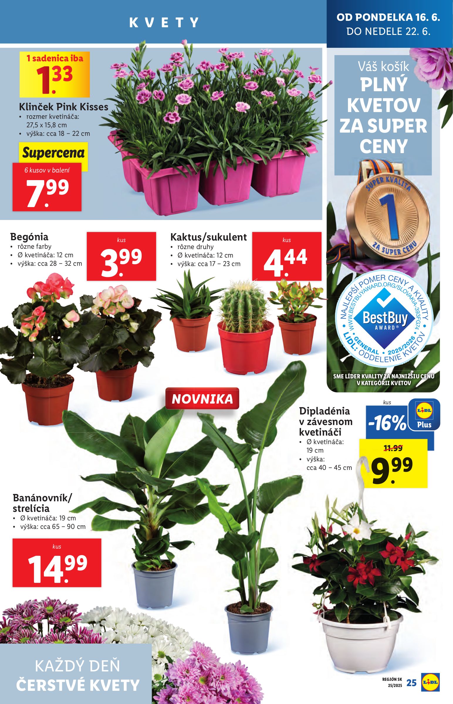 lidl - Leták Lidl platný od 16.06. do 22.06. - page: 29