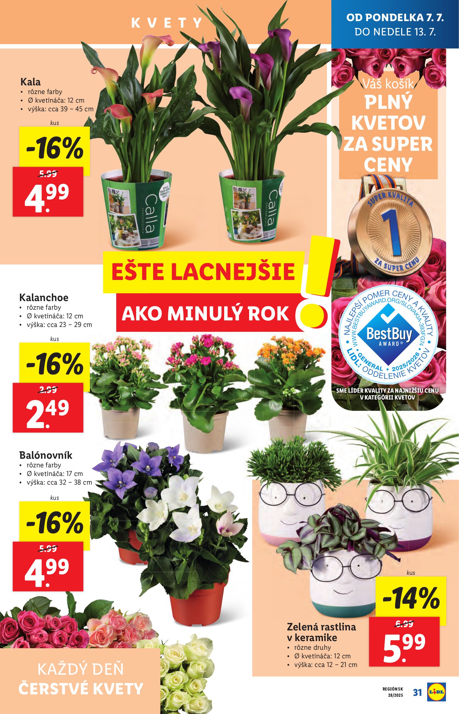 lidl - Leták Lidl platný od 07.07. do 13.07. - page: 33 lidl - Leták Lidl platný od 07.07. do 13.07. - page: 33