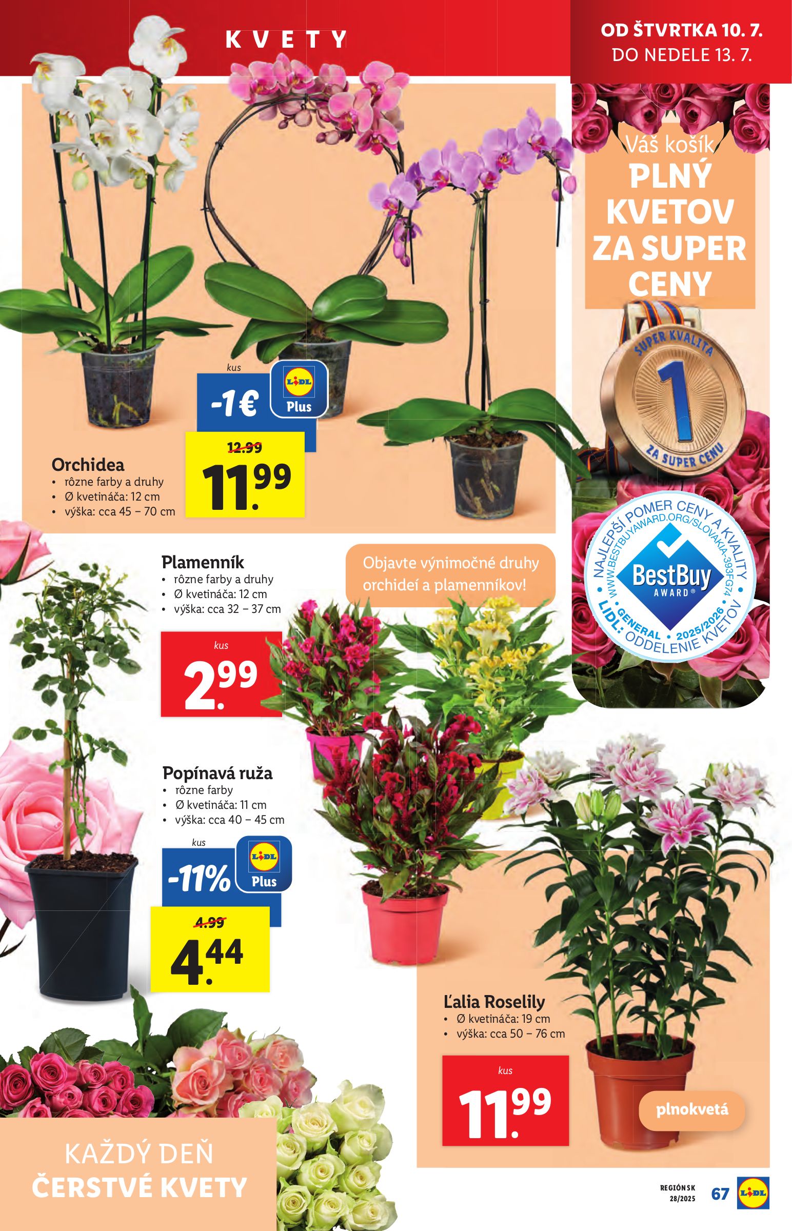lidl - Leták Lidl platný od 07.07. do 13.07. - page: 79 lidl - Leták Lidl platný od 07.07. do 13.07. - page: 79