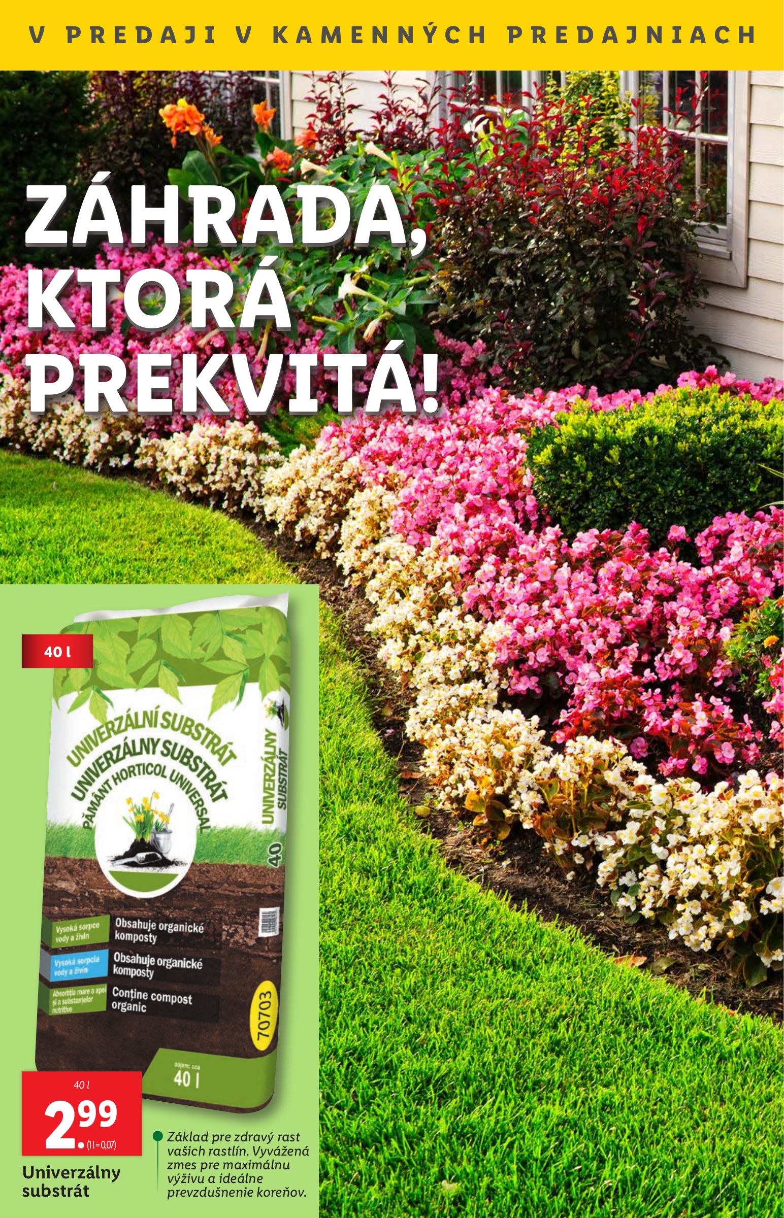 lidl - Leták Lidl platný od 21.07. do 27.07. - page: 43 lidl - Leták Lidl platný od 21.07. do 27.07. - page: 43