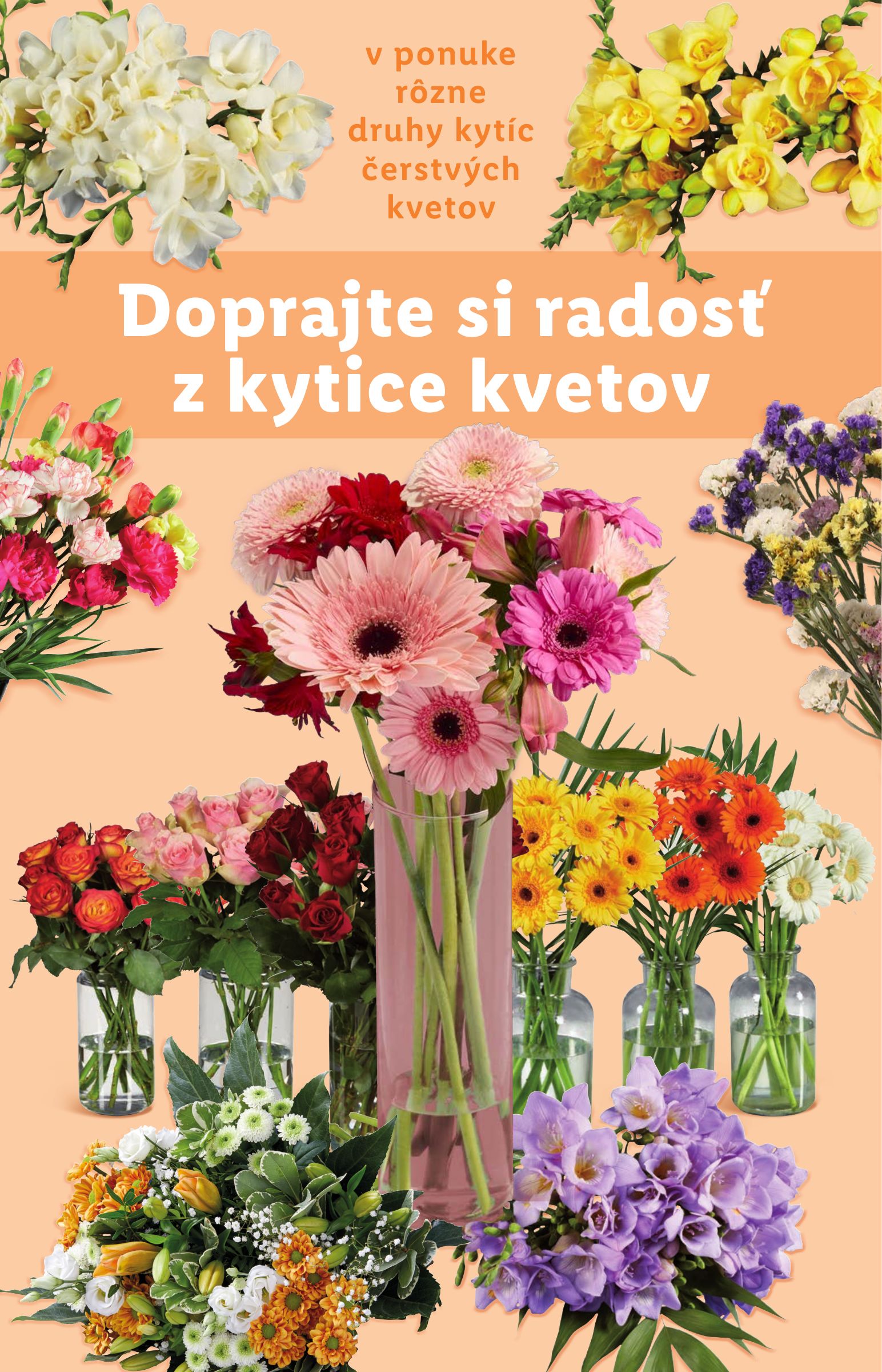 lidl - Leták Lidl platný od 21.07. do 27.07. - page: 42 lidl - Leták Lidl platný od 21.07. do 27.07. - page: 42