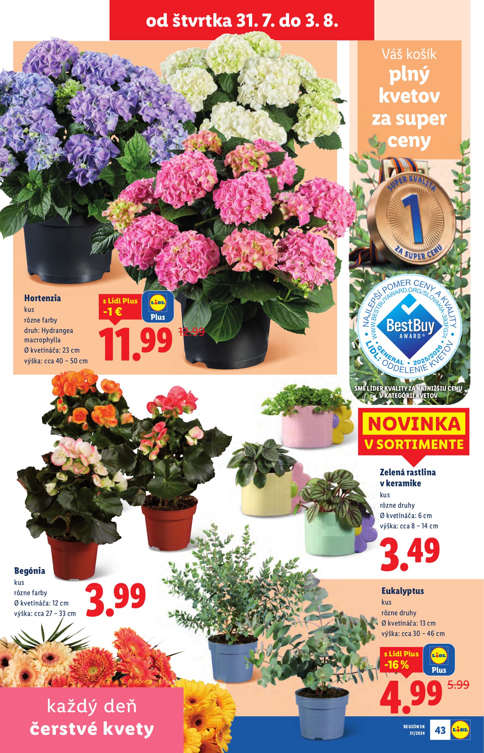 lidl - Leták Lidl platný od 28.07. do 03.08. - page: 67 lidl - Leták Lidl platný od 28.07. do 03.08. - page: 67