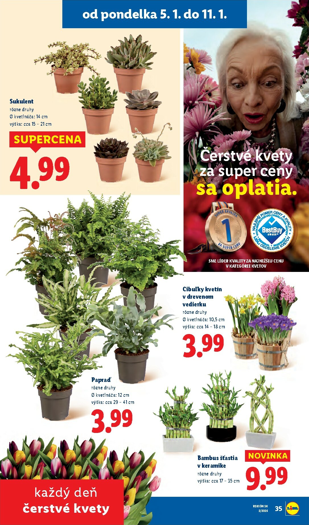 lidl - Leták Lidl platný od 05.01. do 11.01. - page: 53