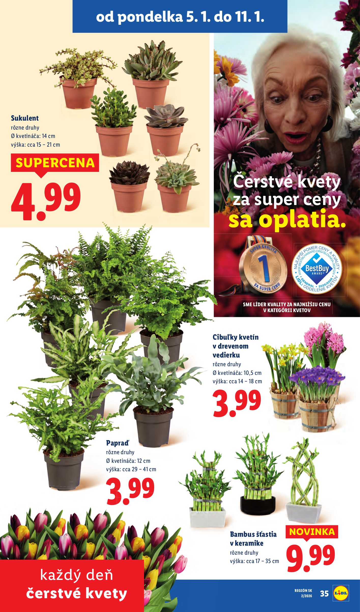 lidl - Leták Lidl platný od 08.01. do 11.01. - page: 89