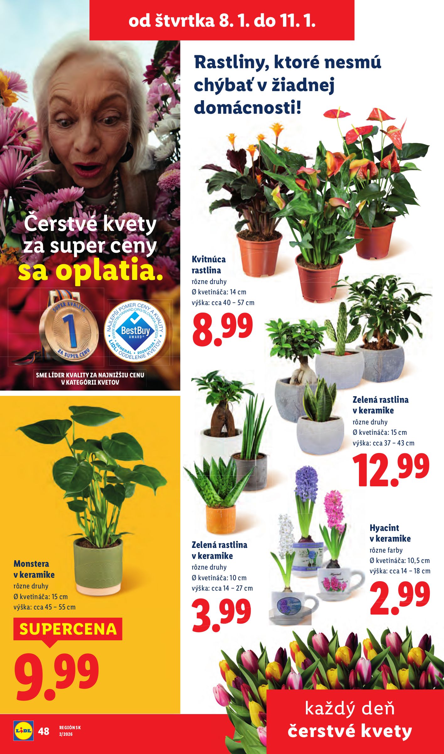 lidl - Leták Lidl platný od 08.01. do 11.01. - page: 31