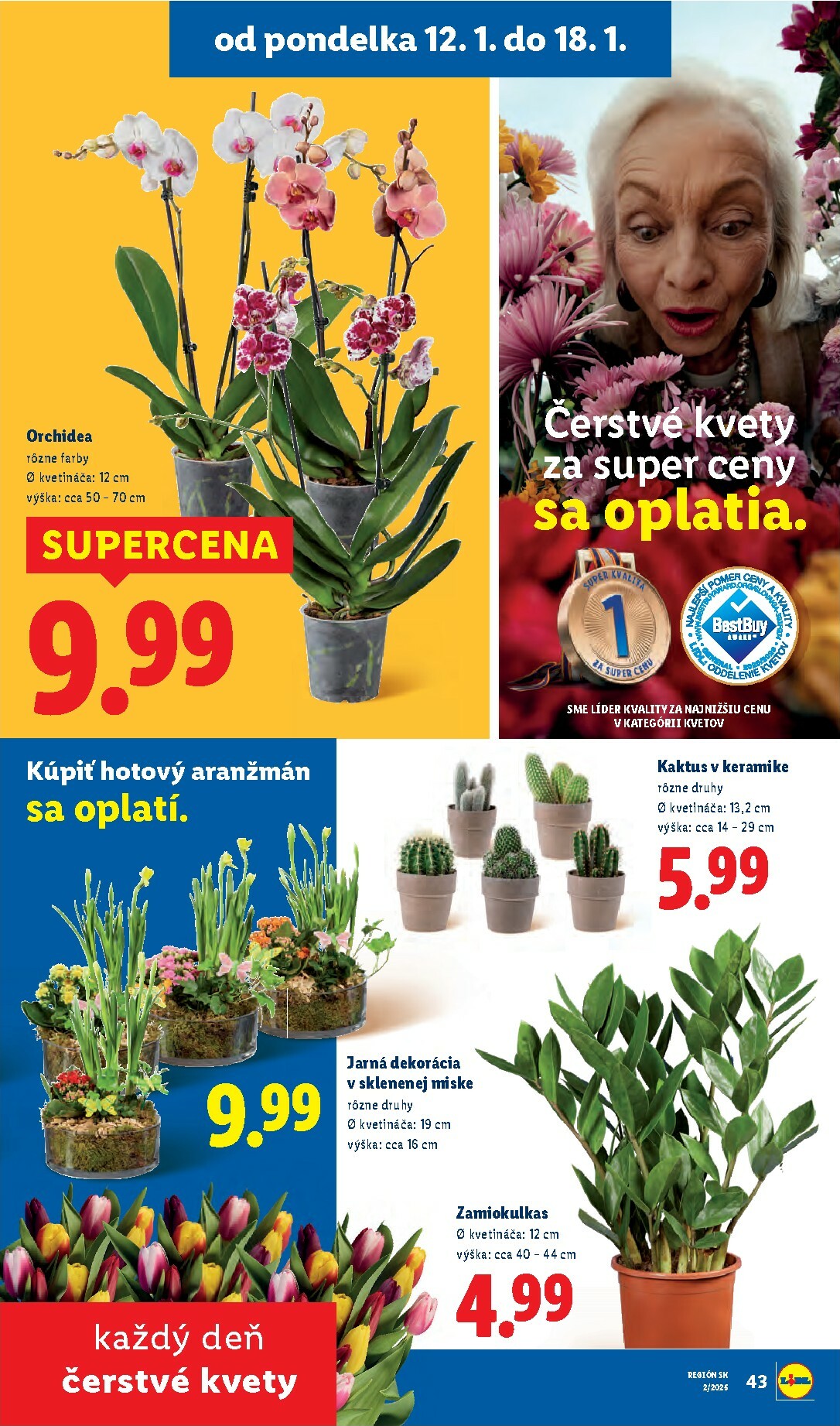 lidl - Leták Lidl platný od 12.01. do 18.01. - page: 35