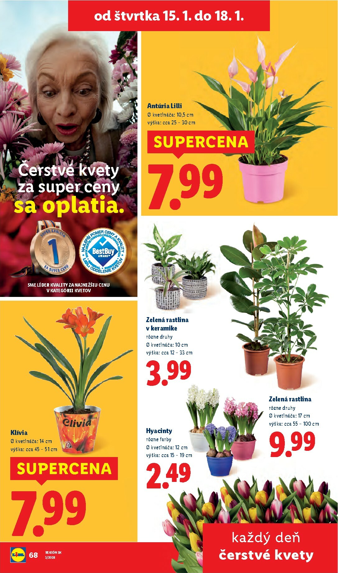 lidl - Leták Lidl platný od 12.01. do 18.01. - page: 73