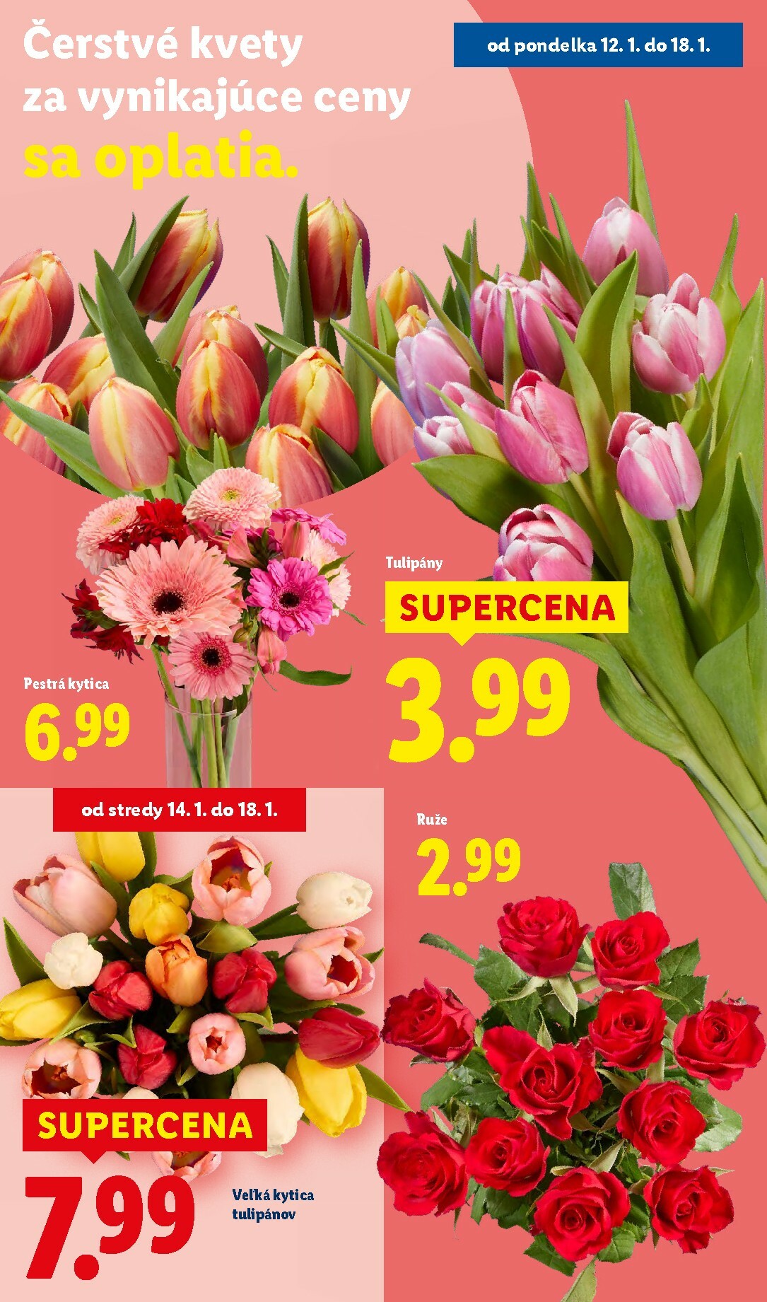 lidl - Leták Lidl platný od 12.01. do 18.01. - page: 34