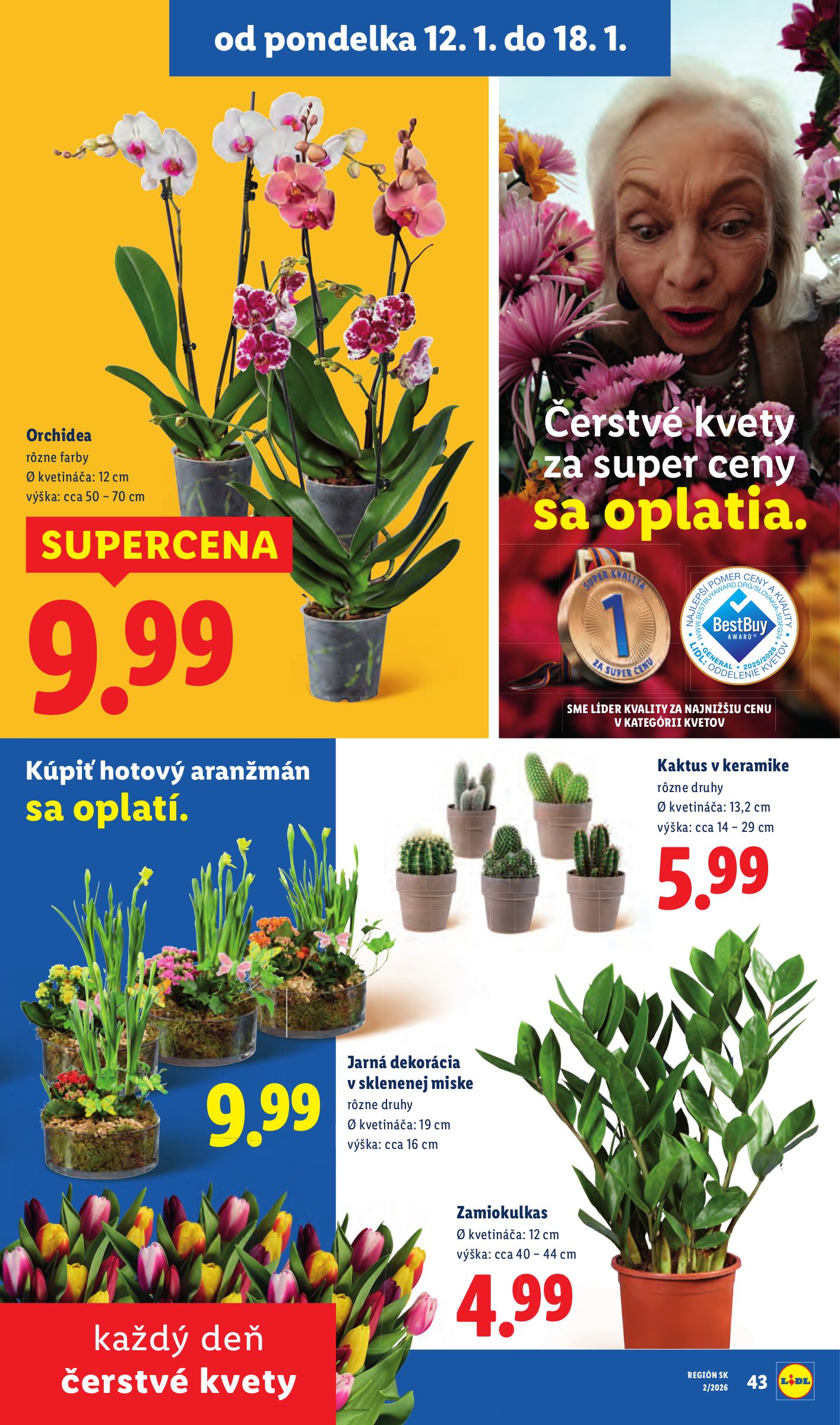 lidl - Leták Lidl platný od 15.01. do 18.01. - page: 69