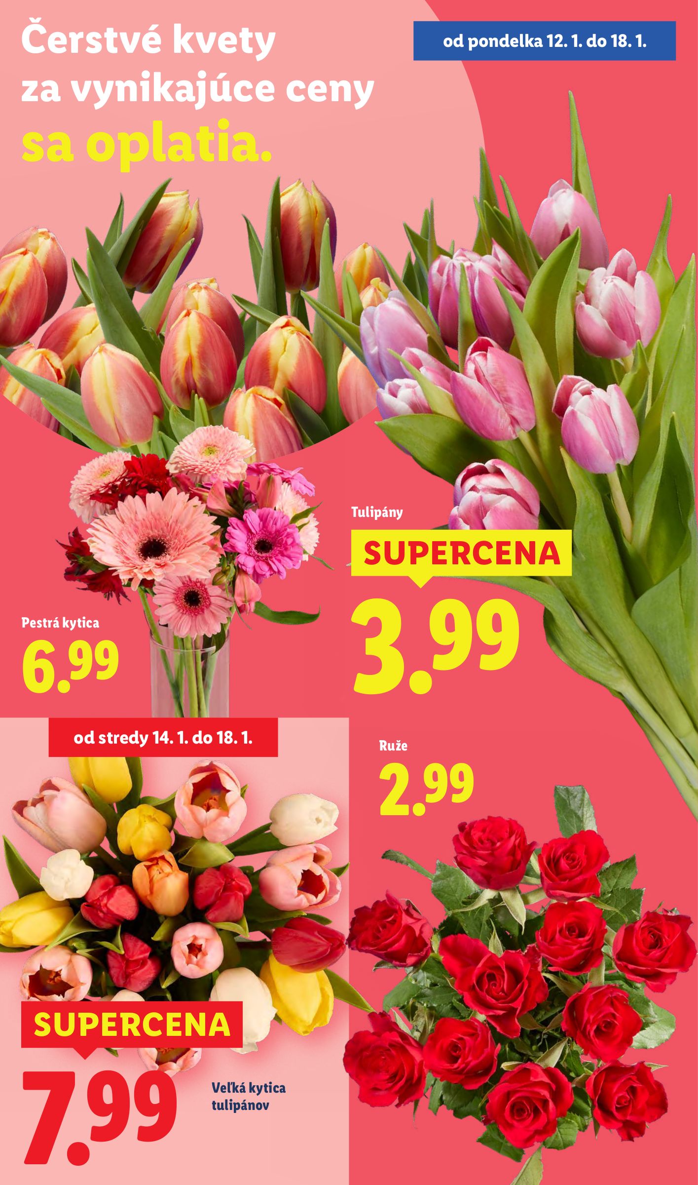 lidl - Leták Lidl platný od 15.01. do 18.01. - page: 68